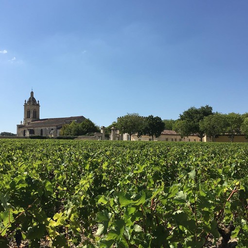 波尔多梅多克产区酒庄参观品酒水镜广场一日游中文司导酒店民宿接送