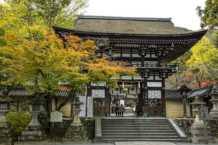 嵐山有眾多的神社寺廟,諸如源氏物語中的野宮神社