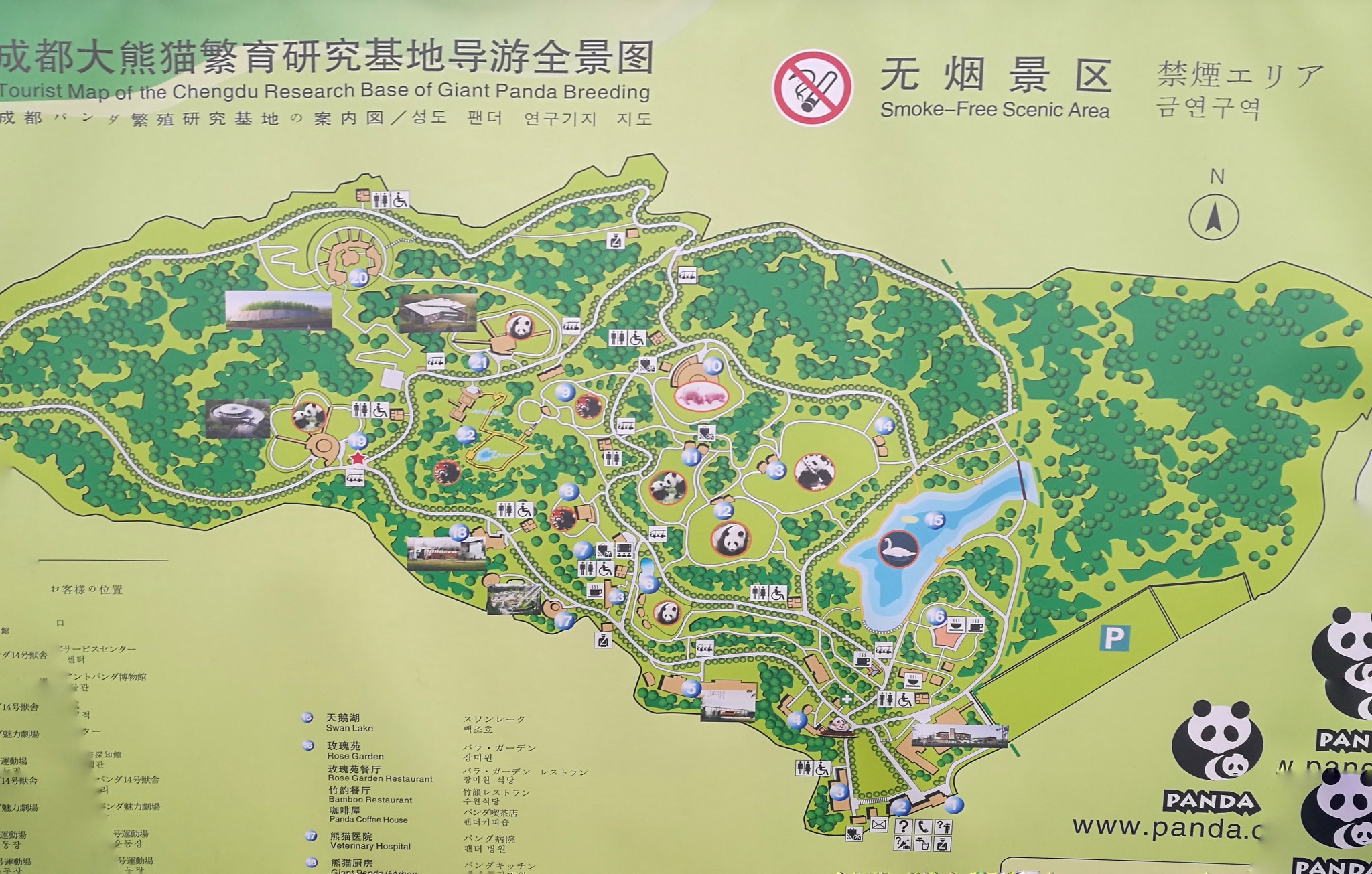 月月半半成都行