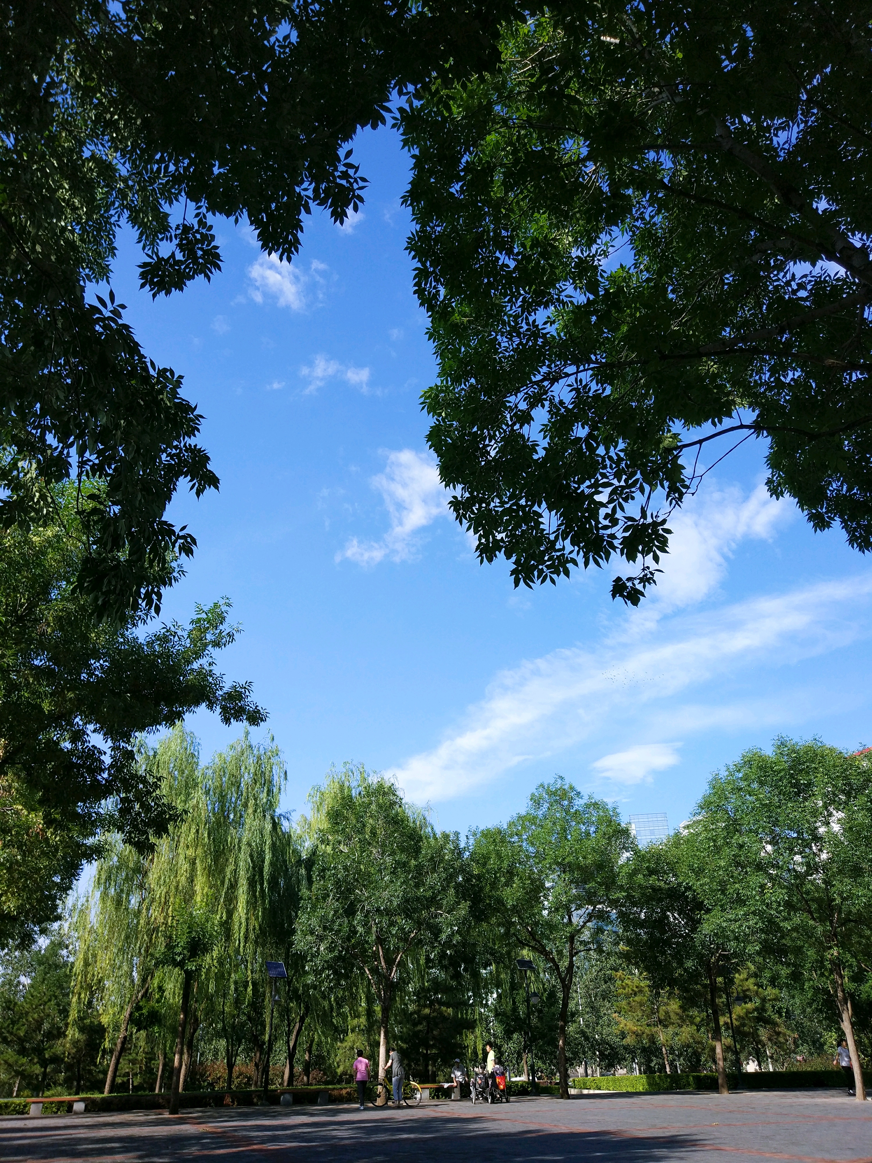 北京嘉河公园攻略,嘉河公园门票_地址,嘉河公园游览攻略 - 马蜂窝