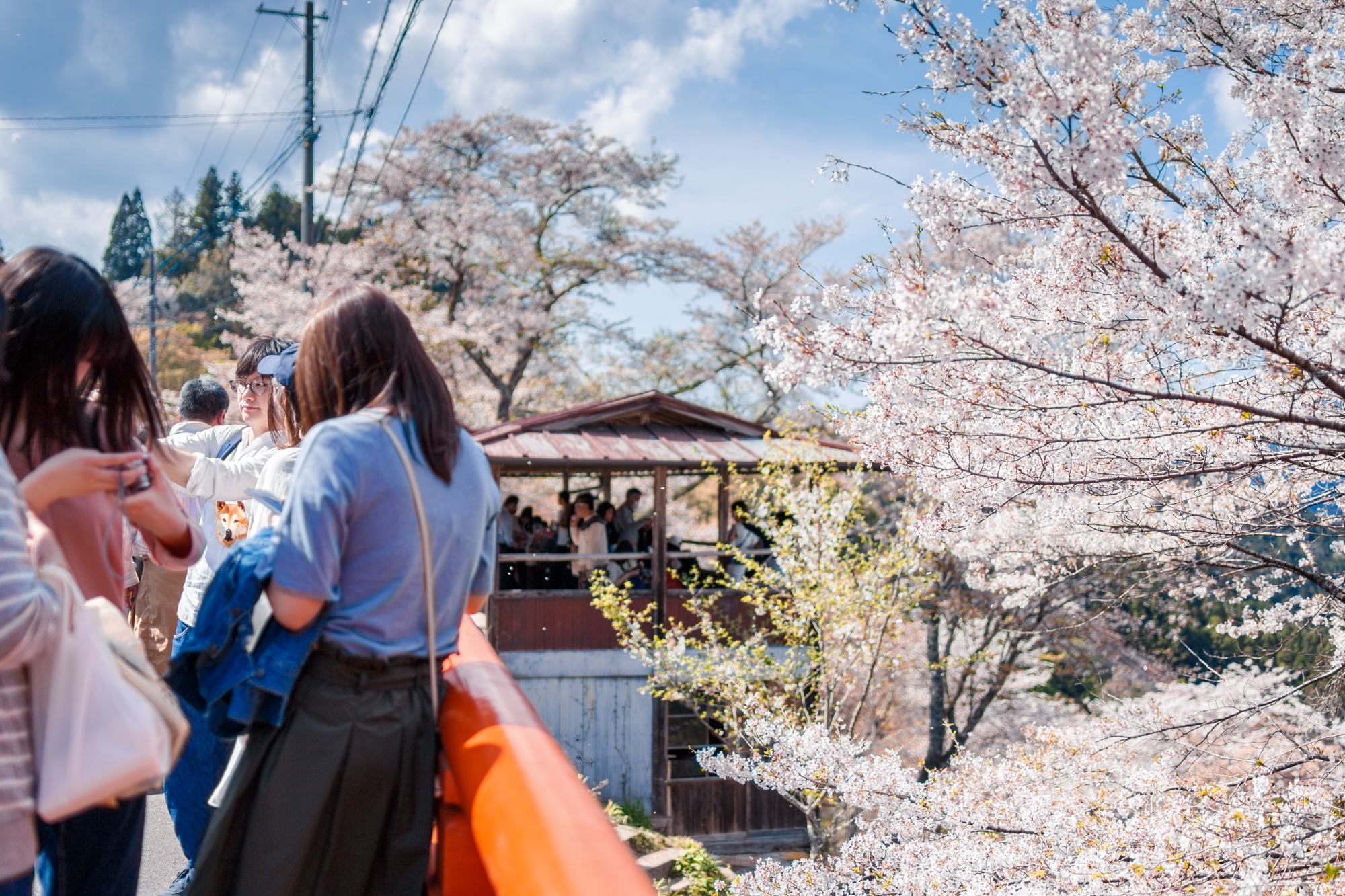 高空缆车中俯瞰群山by 记忆与鱼鱼的旅程吉野山的缆车是全日本最古老
