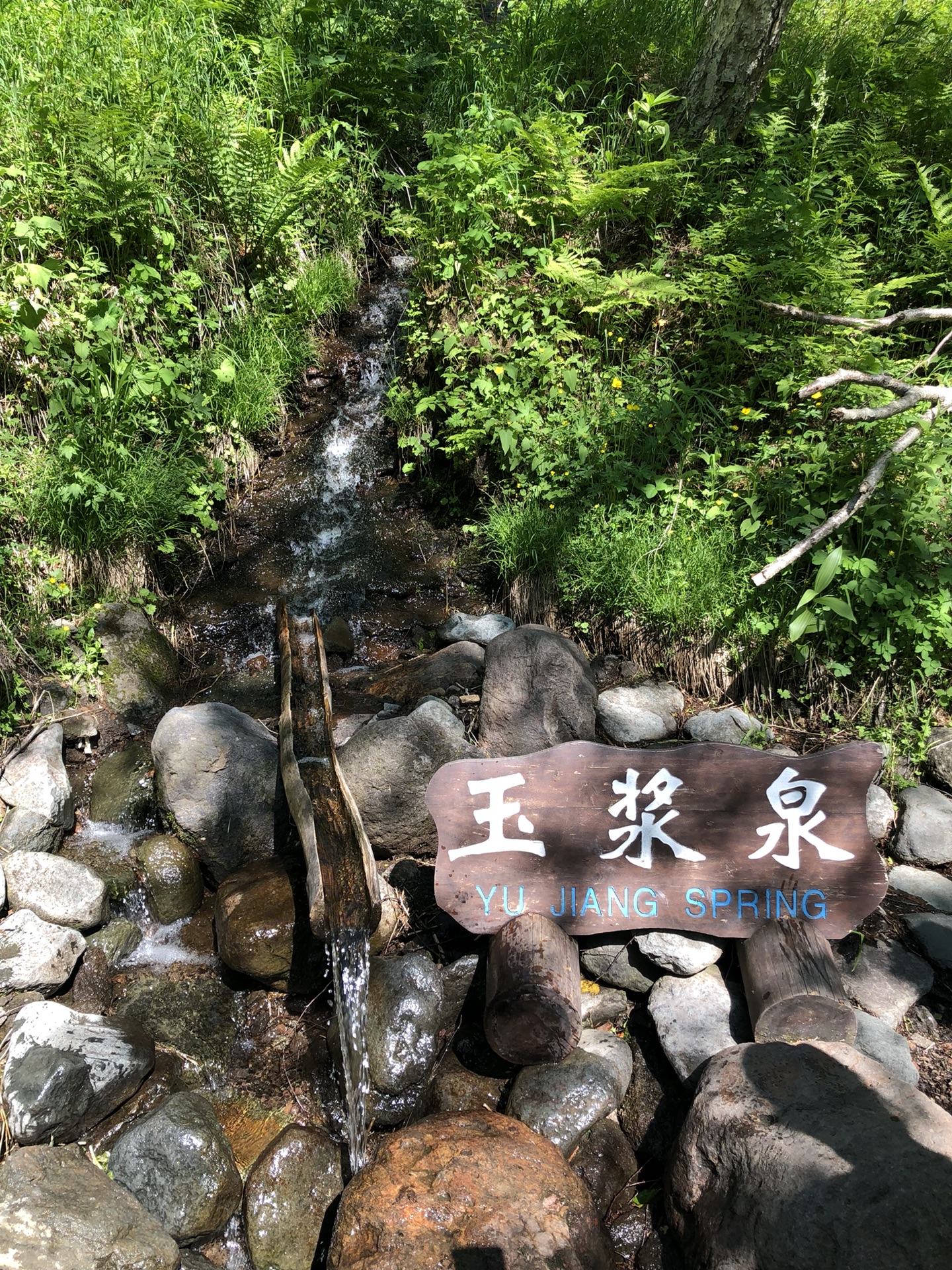 长白山北坡西坡南景区三日游