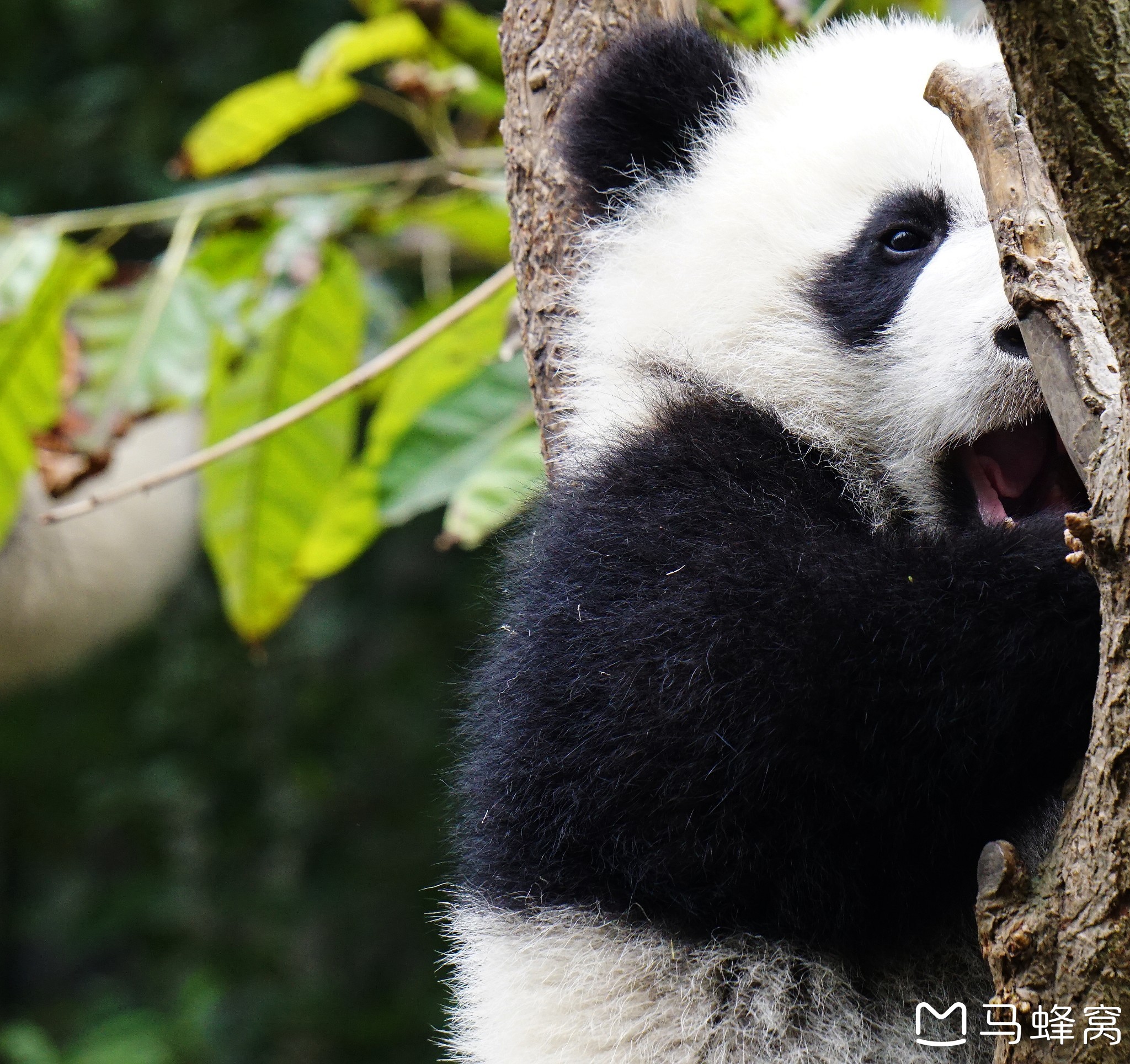 带上相机跟我一起出发,感受美食、美景。我和