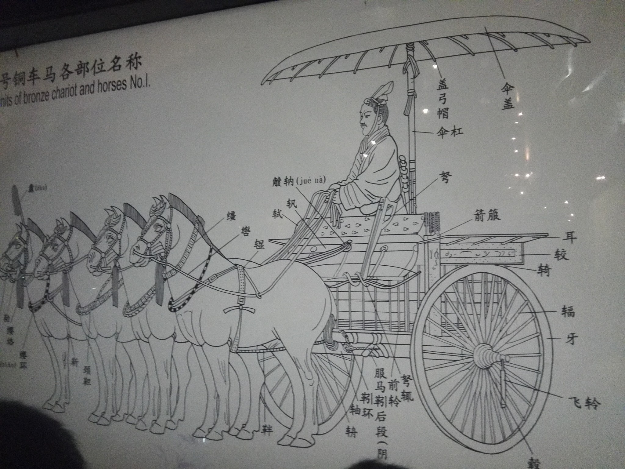 西安兵马俑