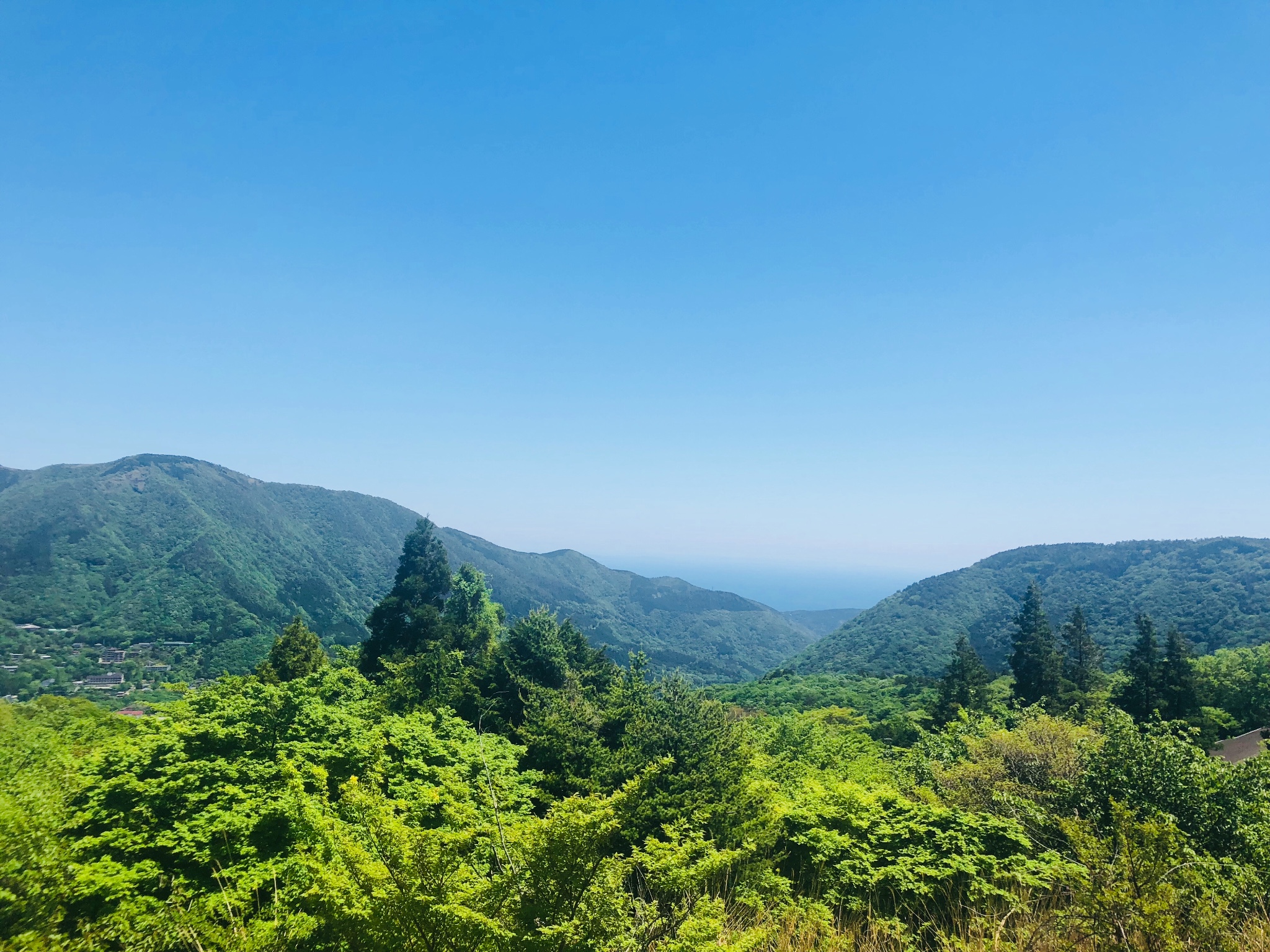 東京自助遊攻略