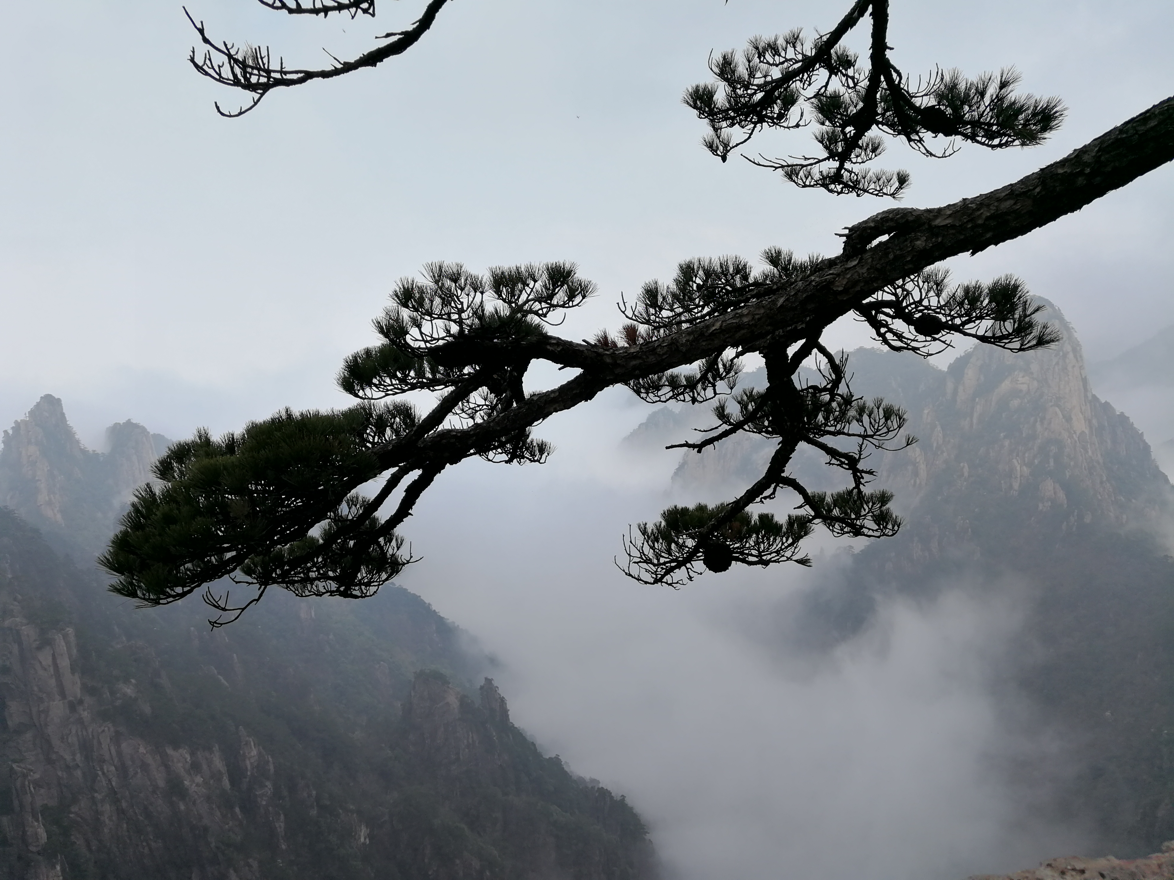 清明時分 南昌-簧嶺-黃山 一路自由行_遊記