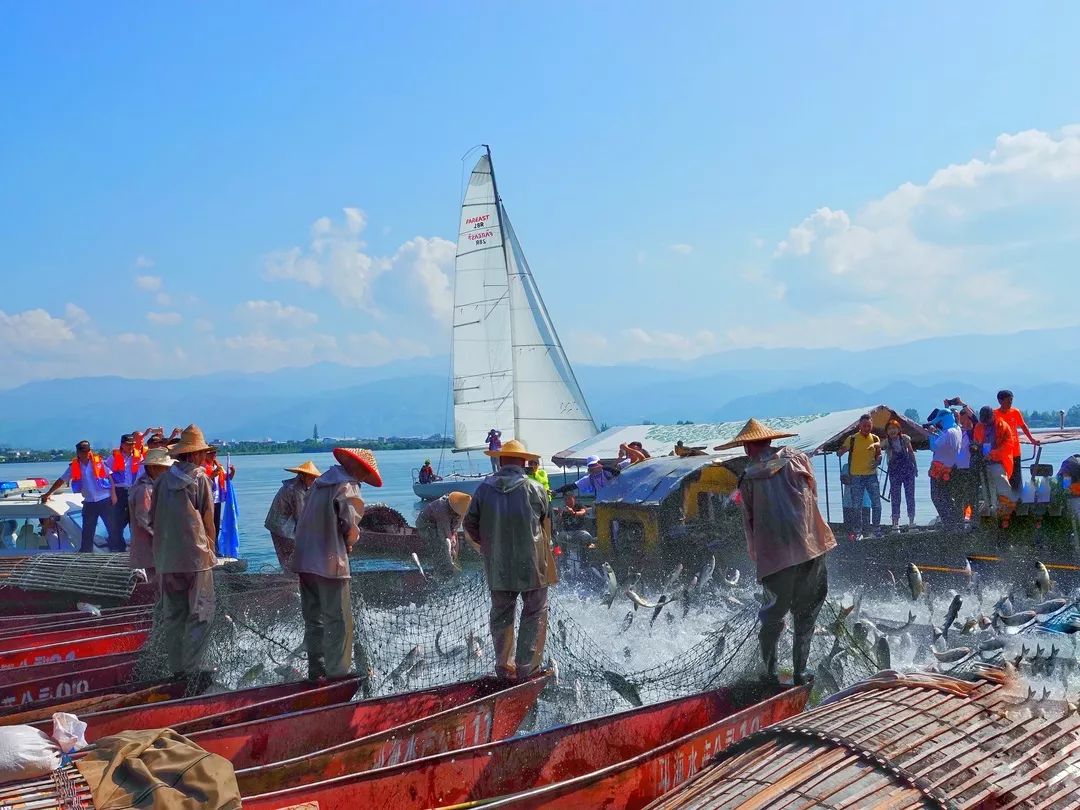 邛海 一个你来了还想再来的地方 马蜂窝