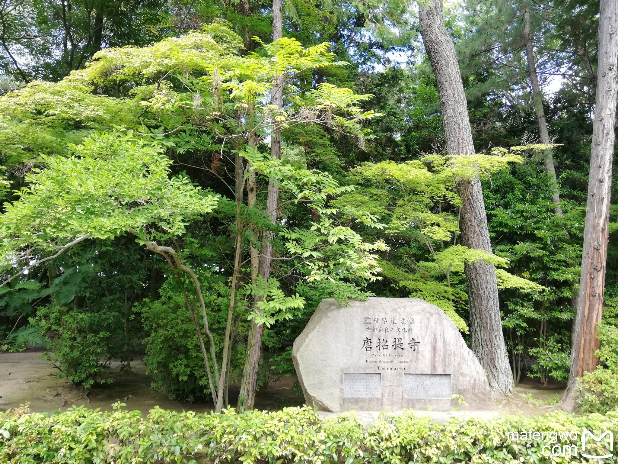 京都自助遊攻略