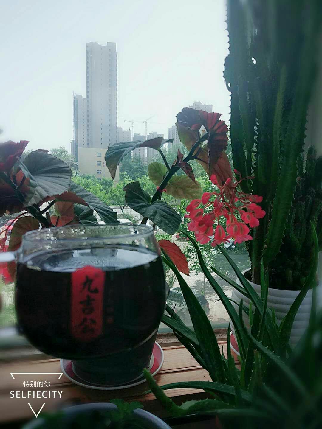 泸溪美食-水岸金沙