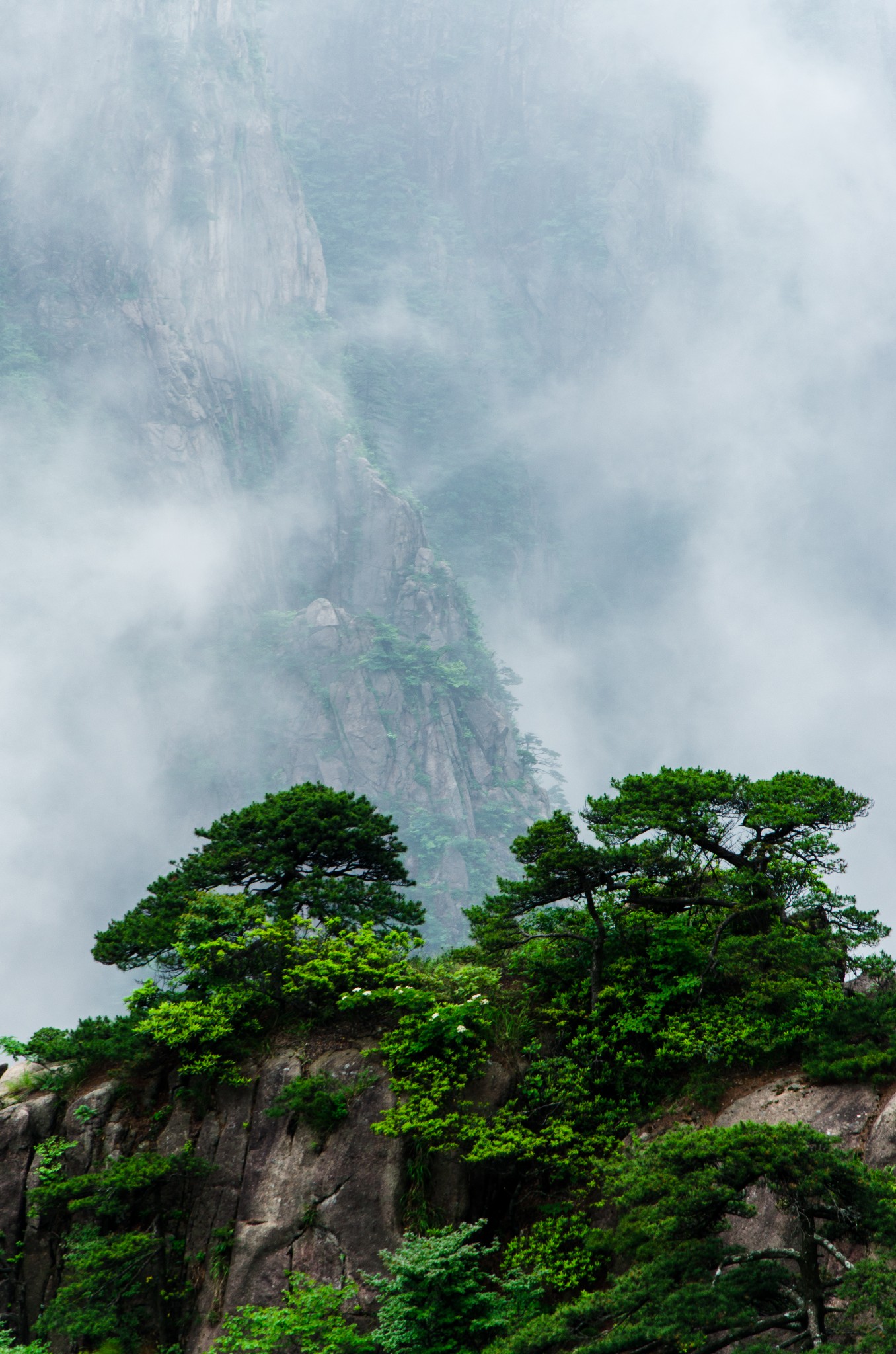 【黄山风景区】梦圆徽州—记,宏村5日小游(摄影|探古寻幽)