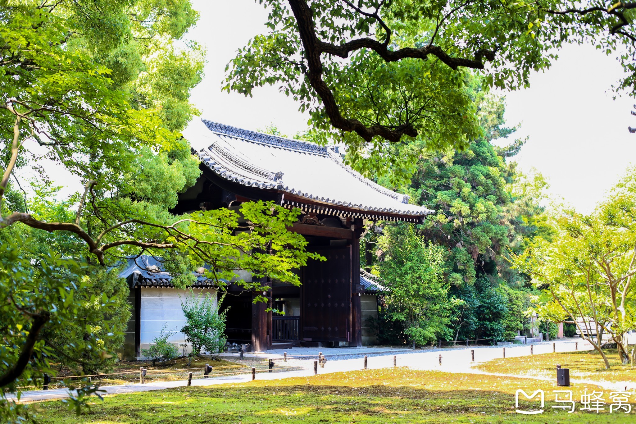 京都自助遊攻略