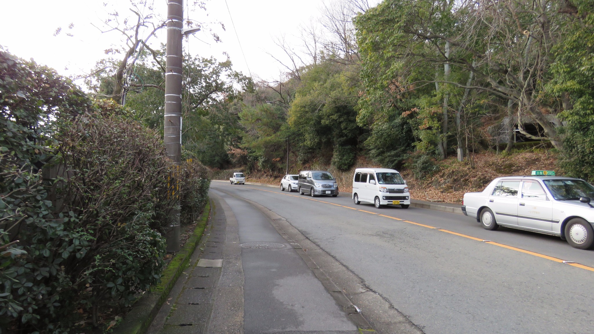 京都自助遊攻略