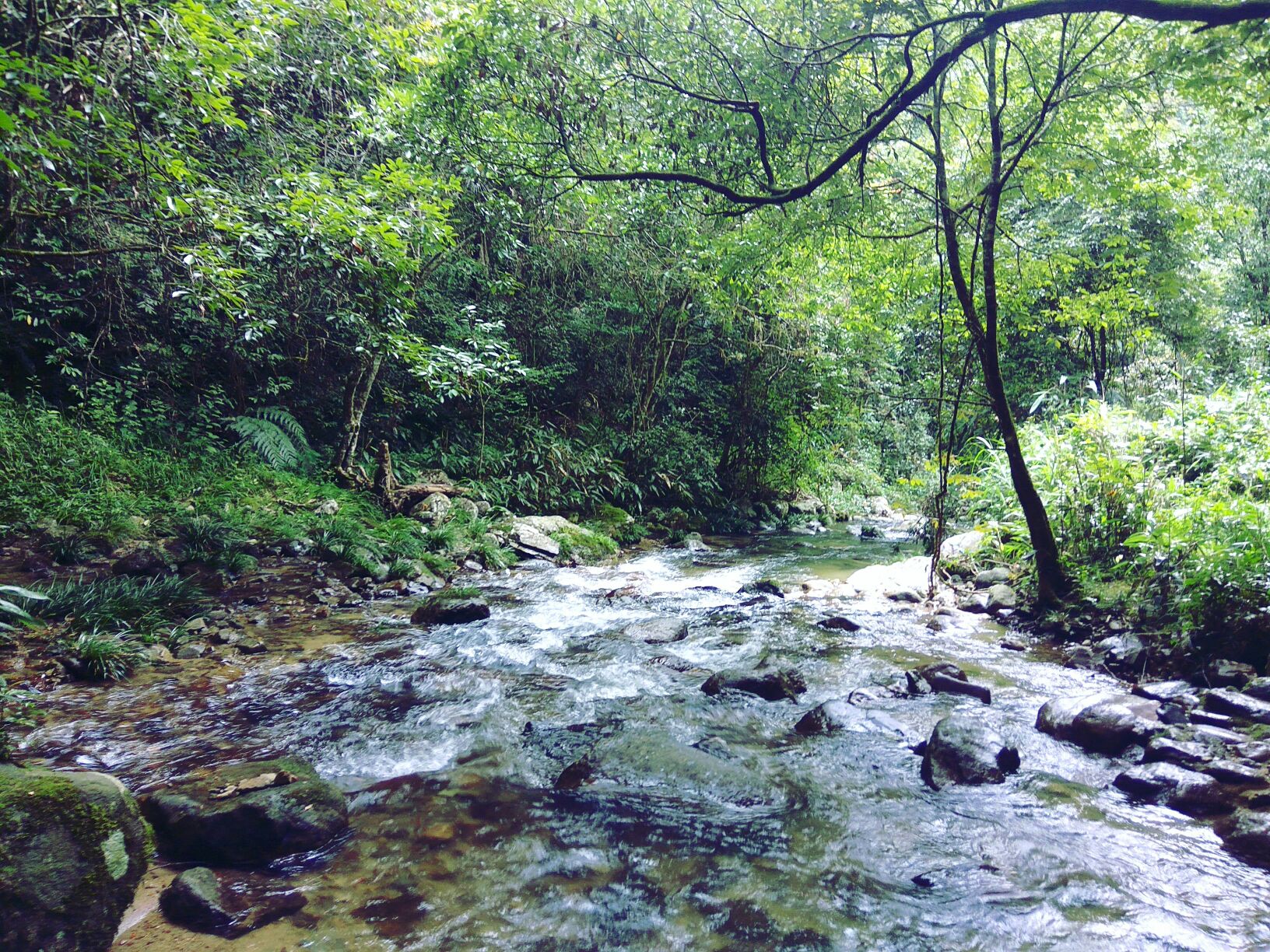 天宝岩自然保护区