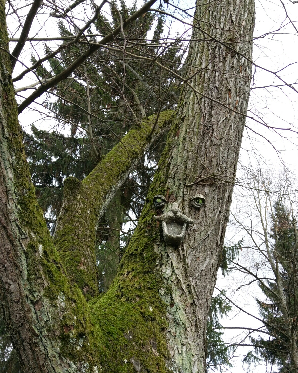 法国Wissembourg 维森堡