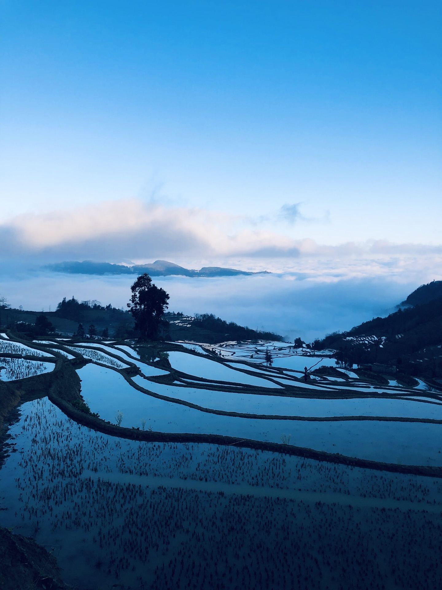 一个人的环游中国行第二十七站:红河河口,河口瑶族自治县自助游攻略