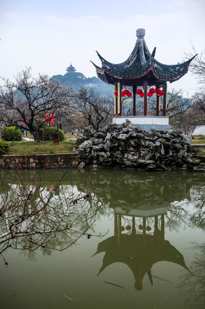 苏州西山林屋梅海