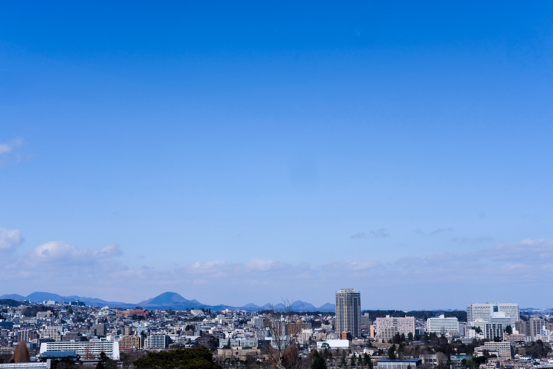 刷一波日本三年多次签证东京仙台四日往返意外的收获多图附上详细行程