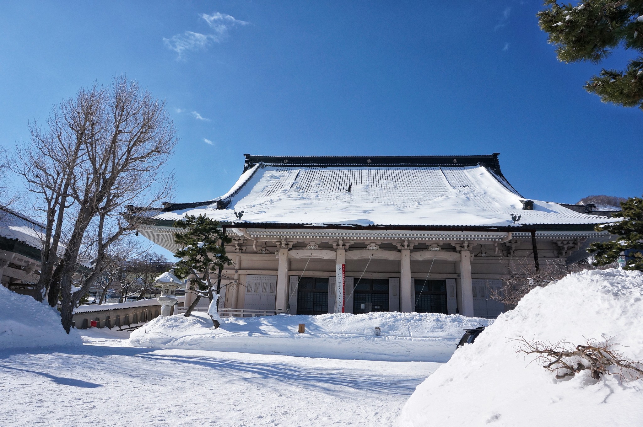 北海道自助遊攻略