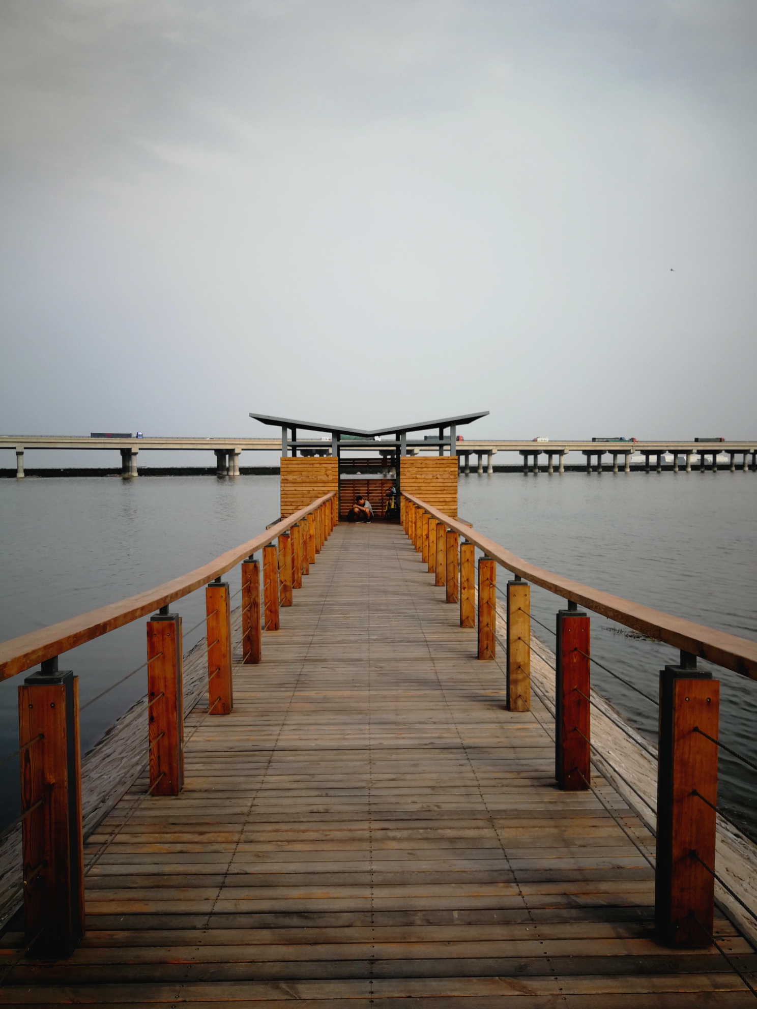 观遗鸥的好去处天津生态城遗鸥公园