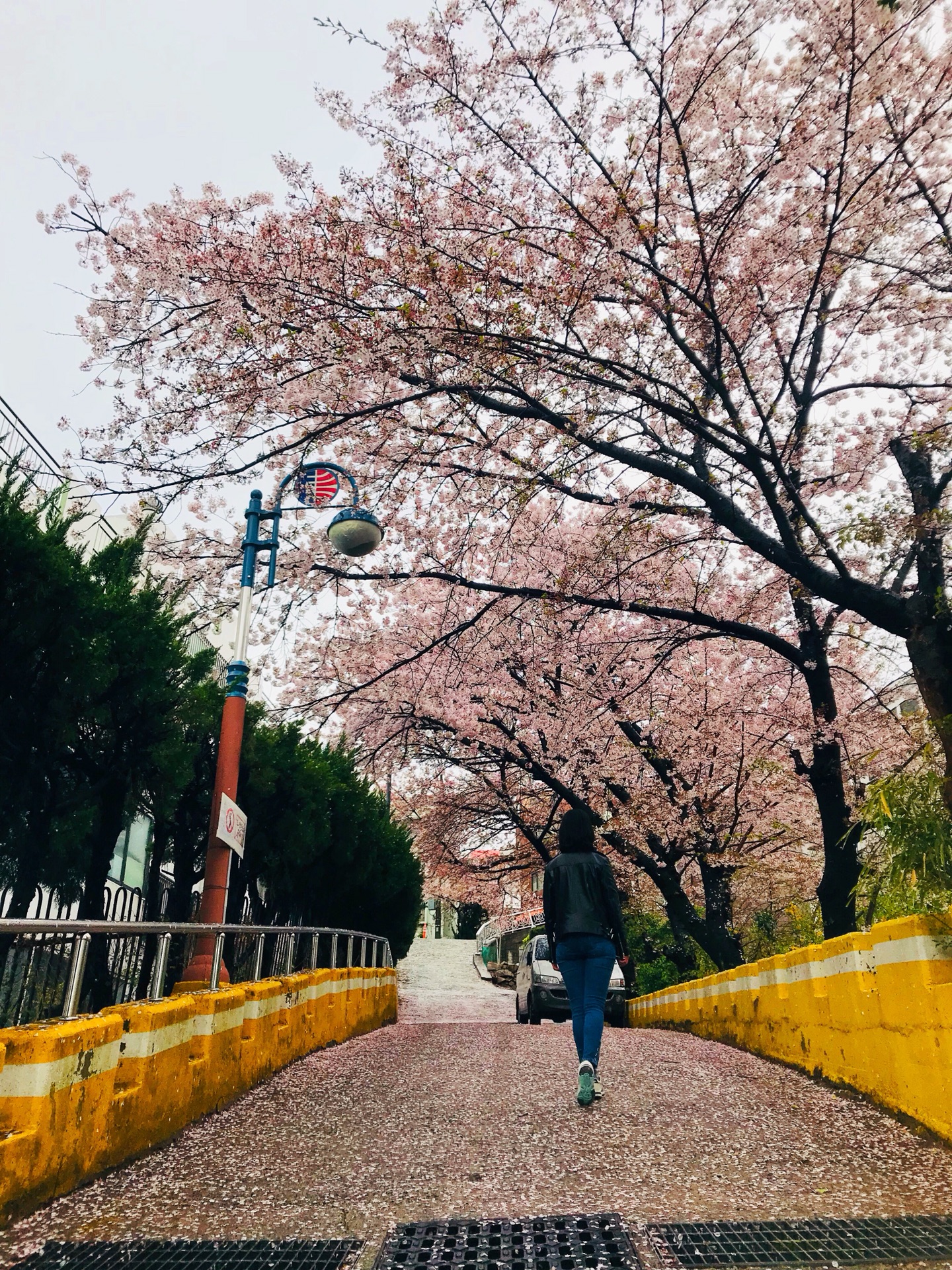 釜山自助遊攻略