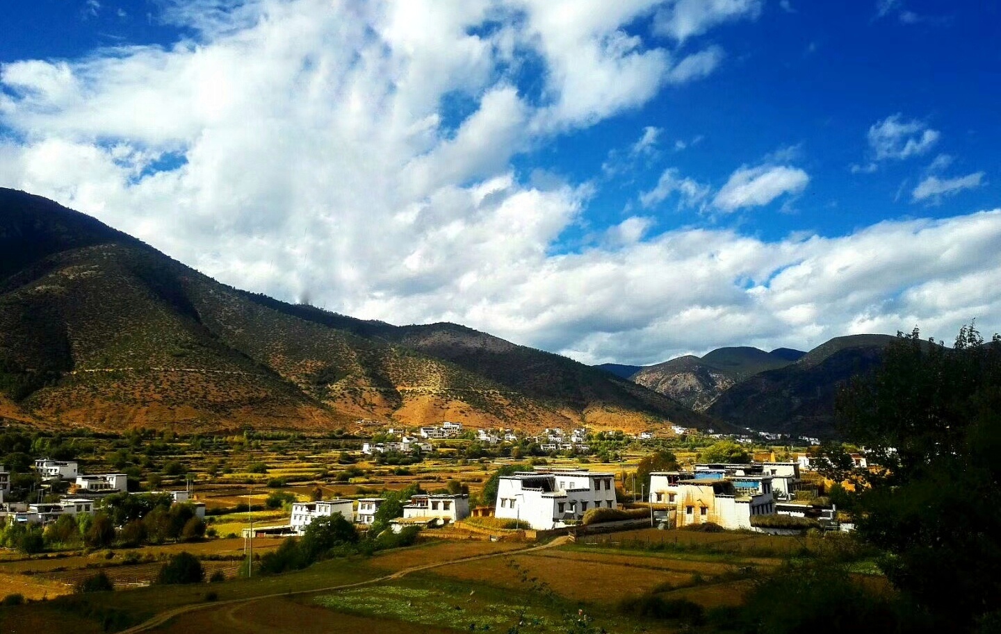 中,村民们不断的将青稞麦粉好酥油投入正在燃烧的松枝中告别藏族同胞