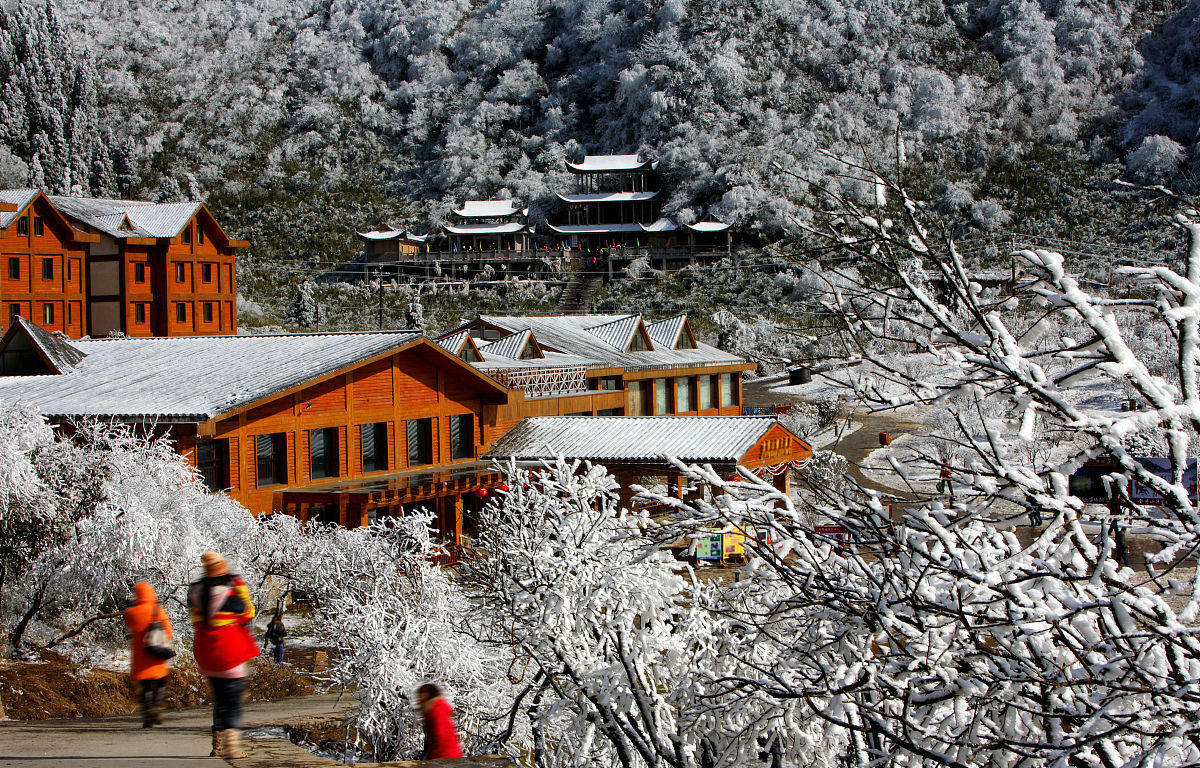 南國金佛山金佛寺祈福天星小鎮一日vip純玩一日遊暢遊南國金佛山冰雪