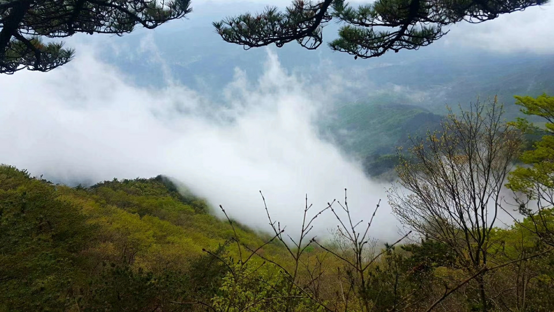 世界那麼大我想去看看【穿越大別山】