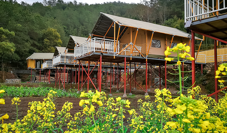 温州泰顺白鹤山庄 受星宿 白鹤客栈   双人山庄大门票 悬空索桥 观光
