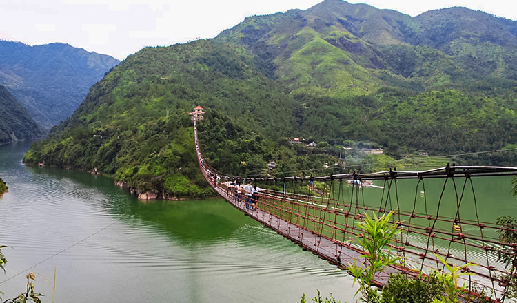 温州泰顺白鹤山庄 受星宿 白鹤客栈   双人山庄大门票 悬空索桥 观光