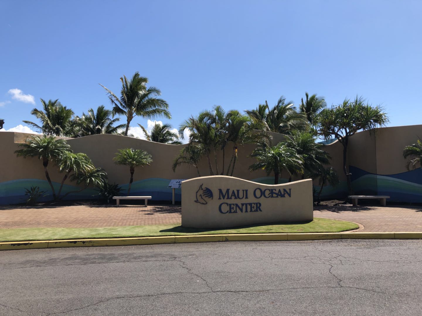 夏威夷景点-茂宜海洋中心