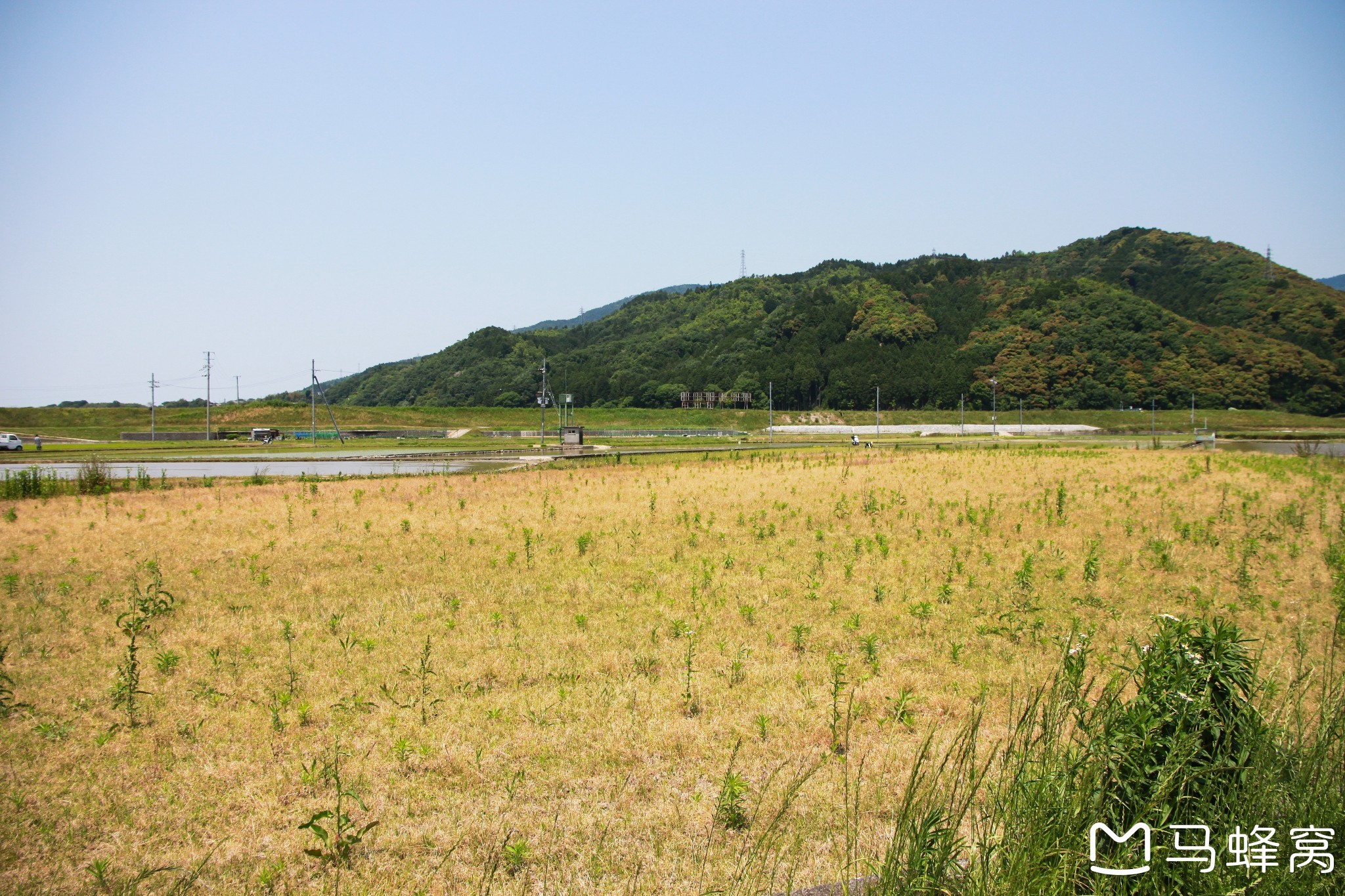 京都自助遊攻略