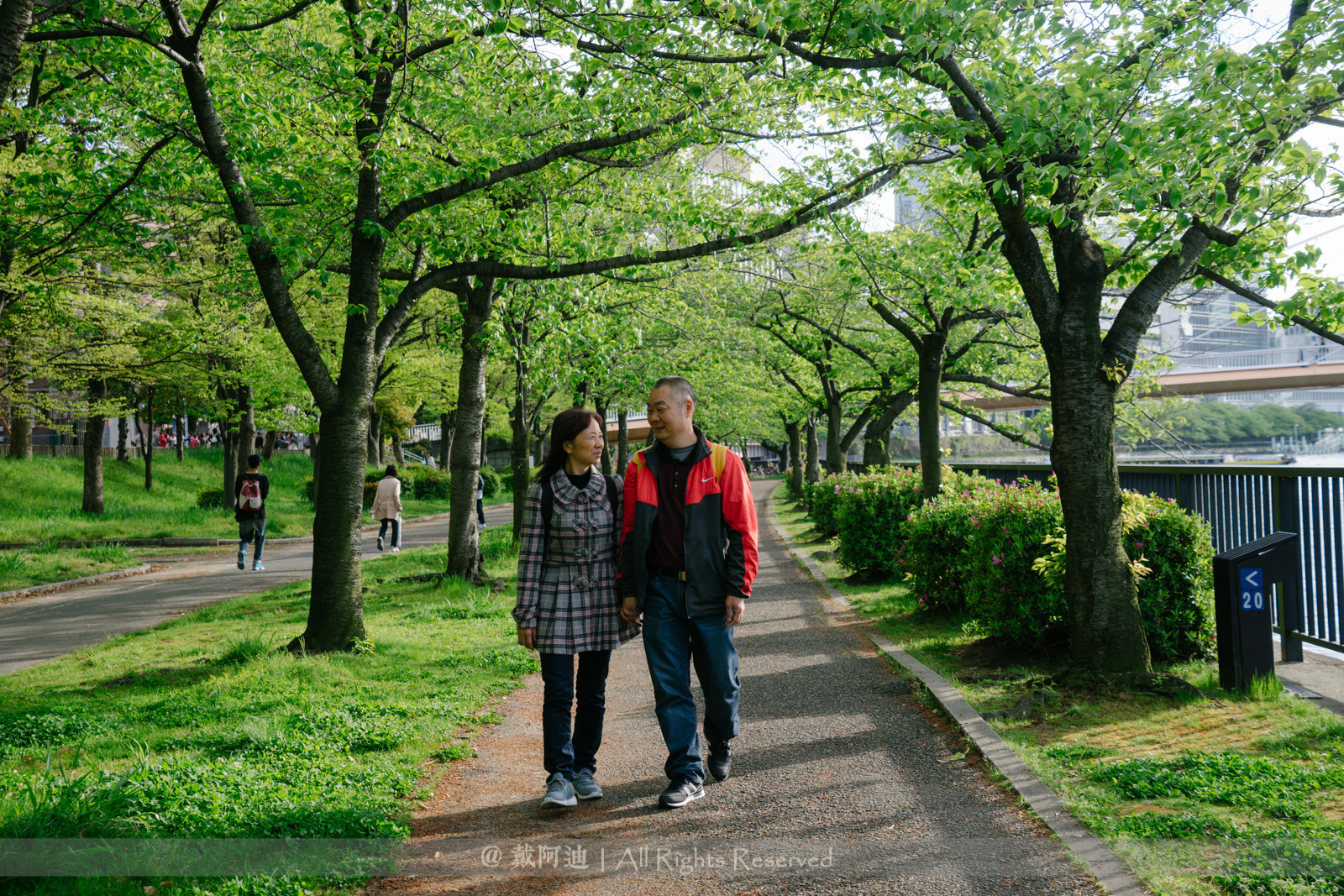 日本自助遊攻略