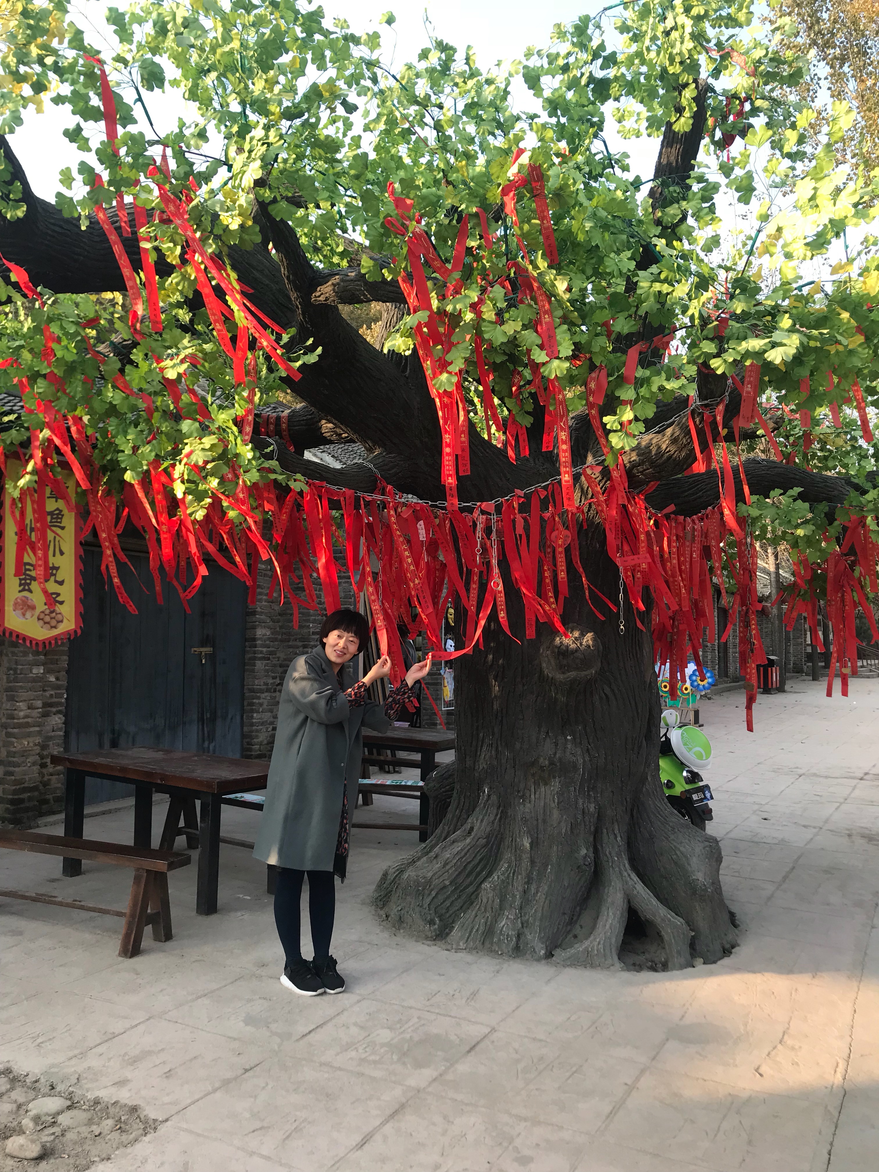 【魯山景點圖片】墨子古街旅遊區