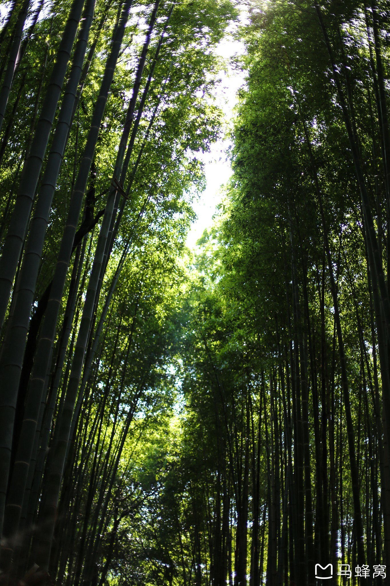 京都自助遊攻略