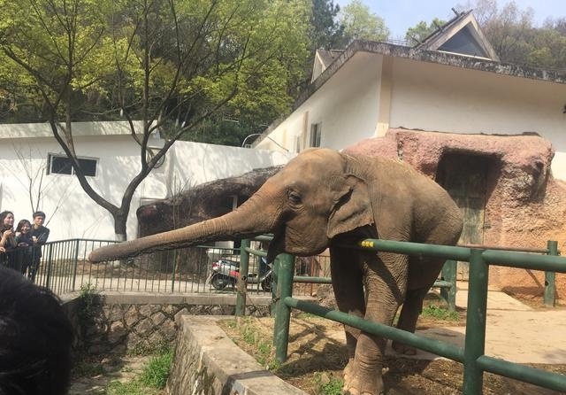 溫州 丨 休閒親子游,溫州動物園