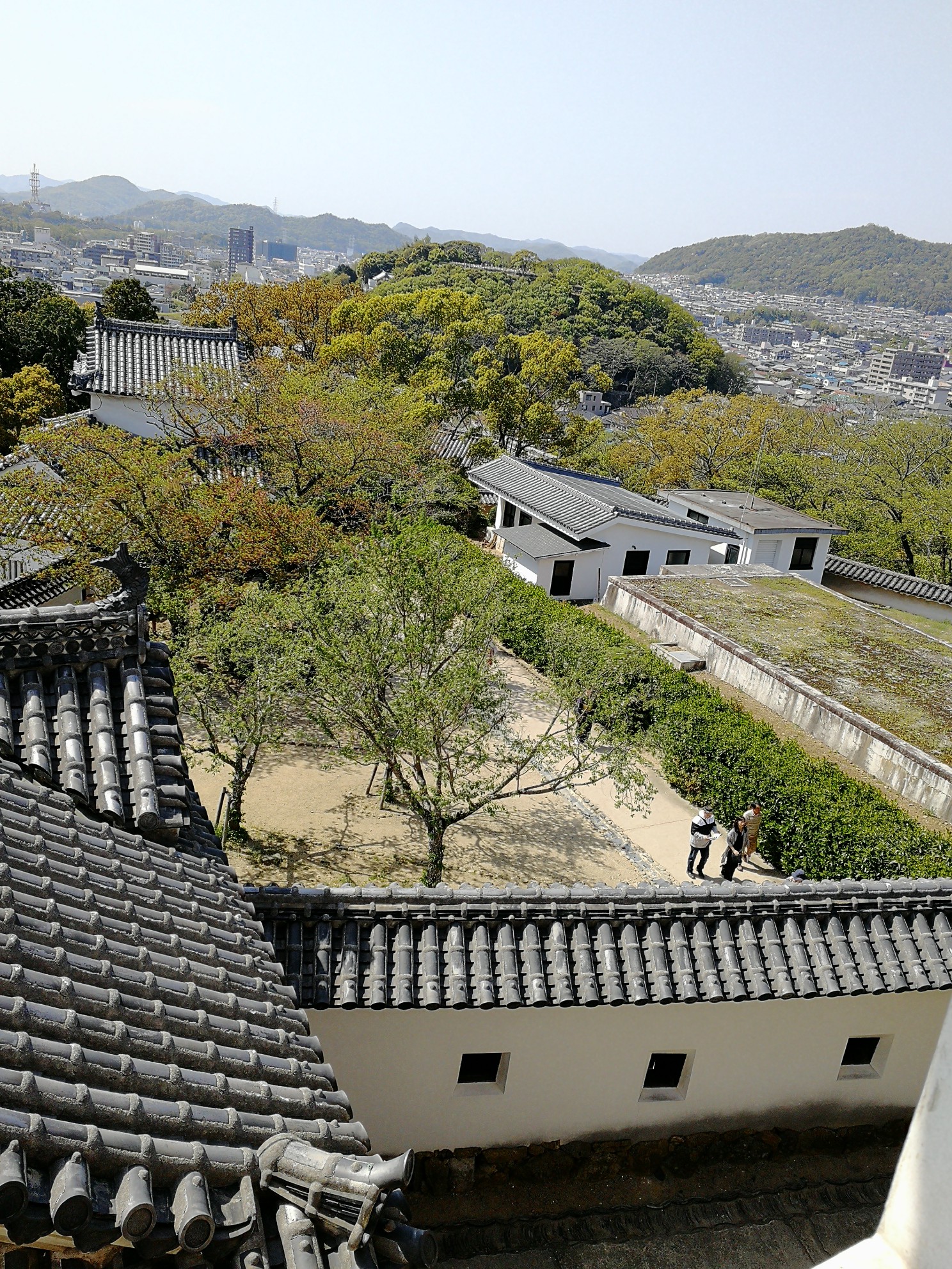 神戶自助遊攻略