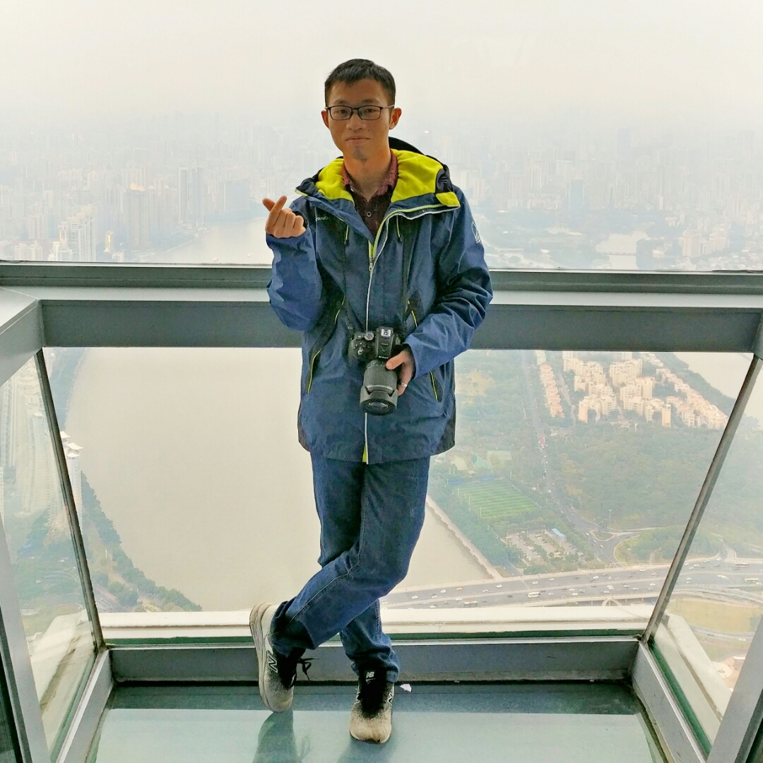 倔强的小蚂蚁