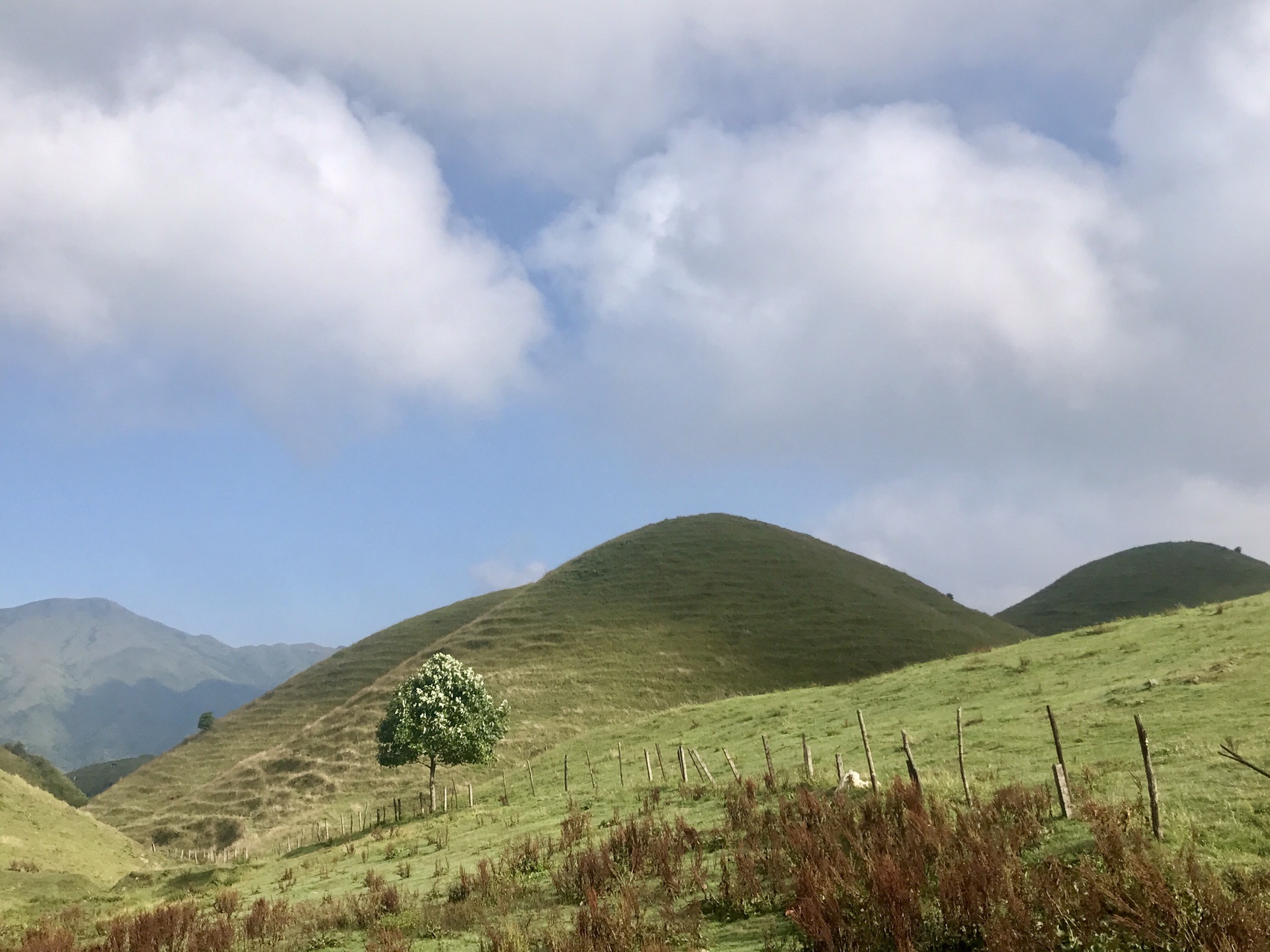 綠草如茵 風景如畫——2018夏南山牧場親子游,城步旅遊攻略 - 馬蜂窩