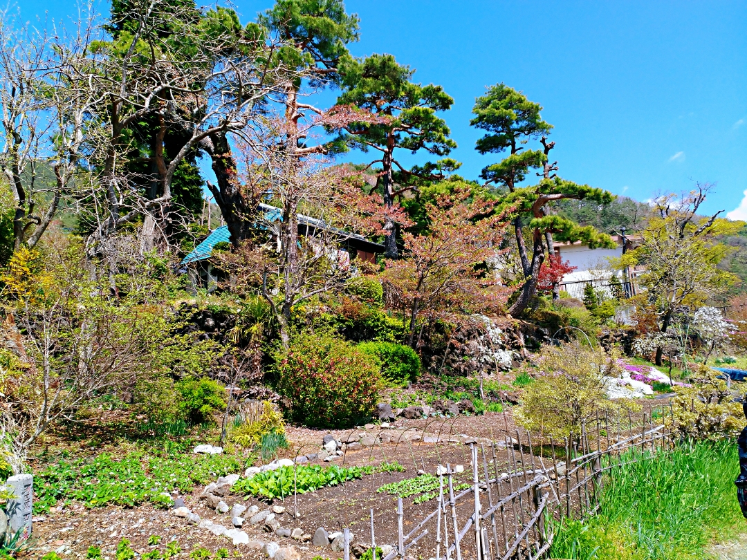 富士山自助遊攻略