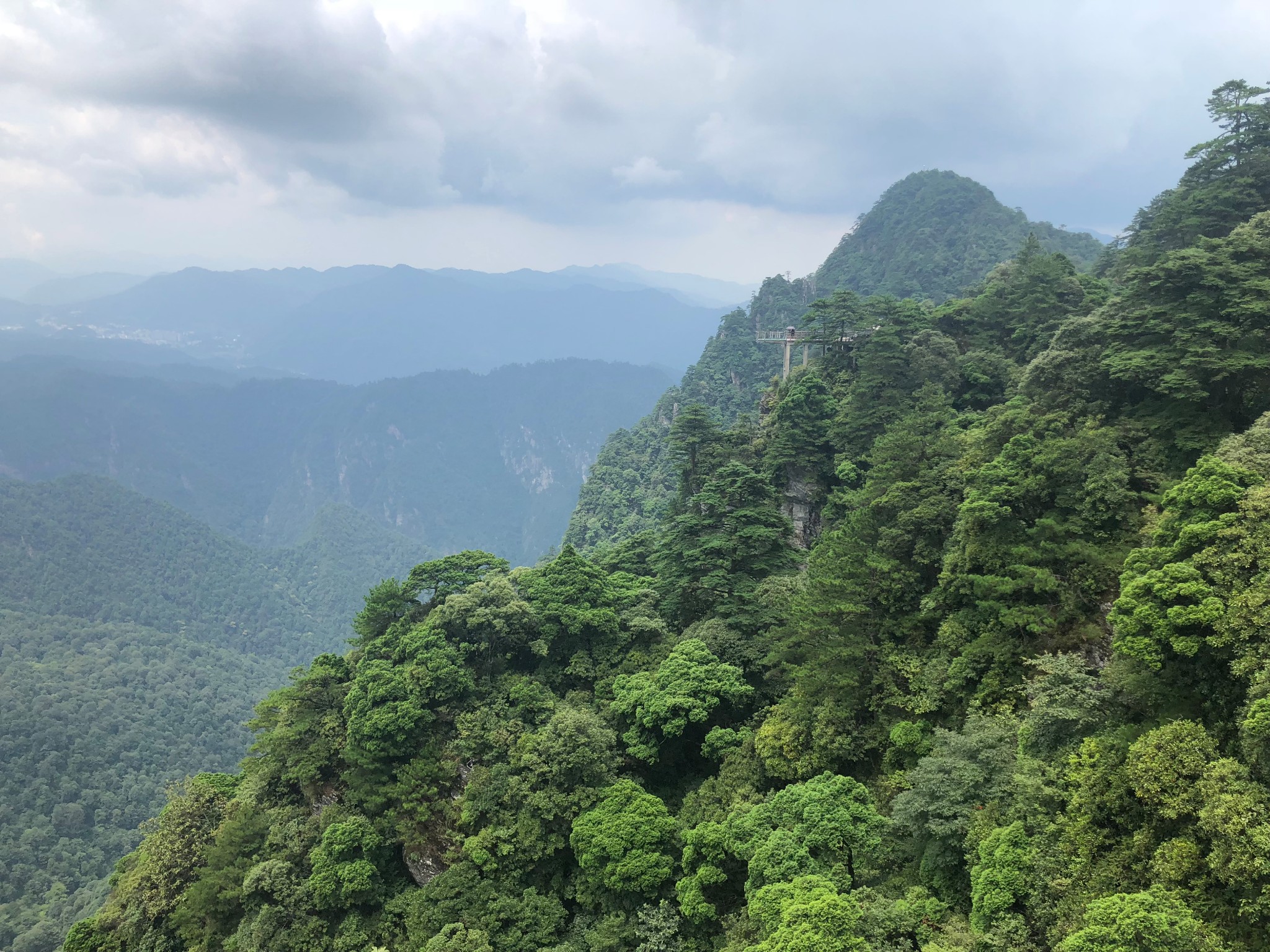 井岡山杜鵑山遊記, 杜鵑山旅遊攻略, 杜鵑山自助遊遊記 - 馬蜂窩