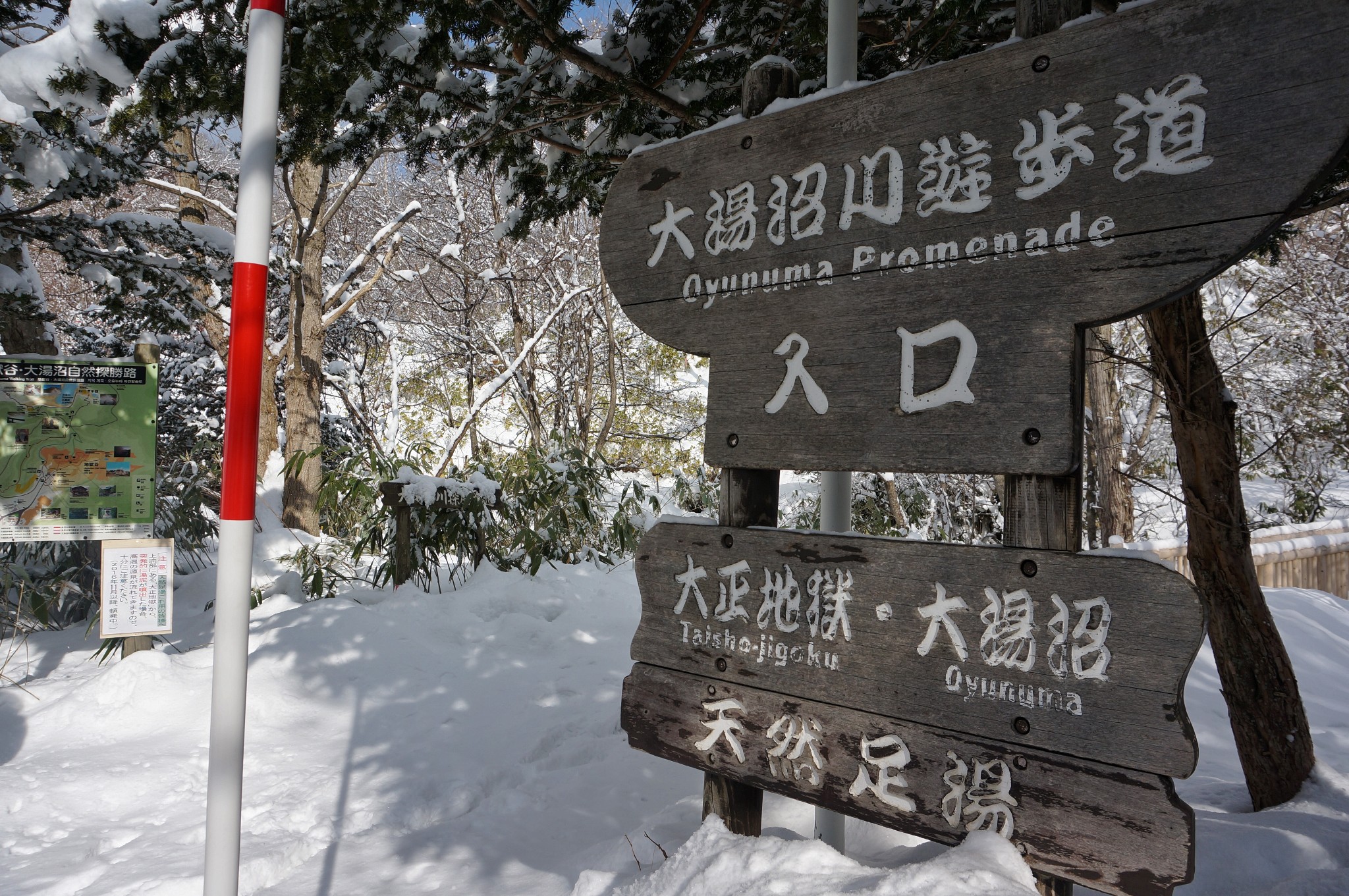 北海道自助遊攻略