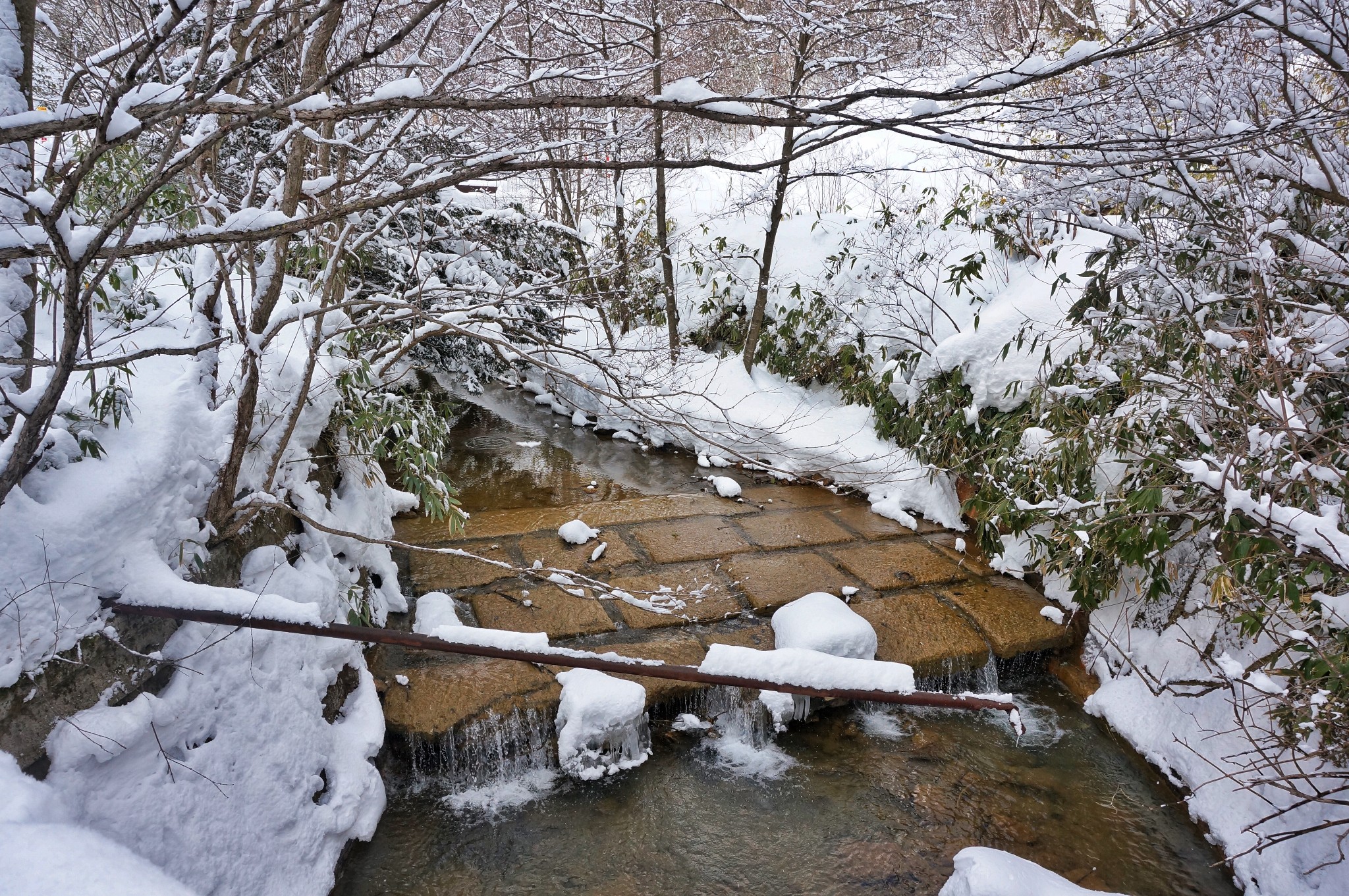 北海道自助遊攻略