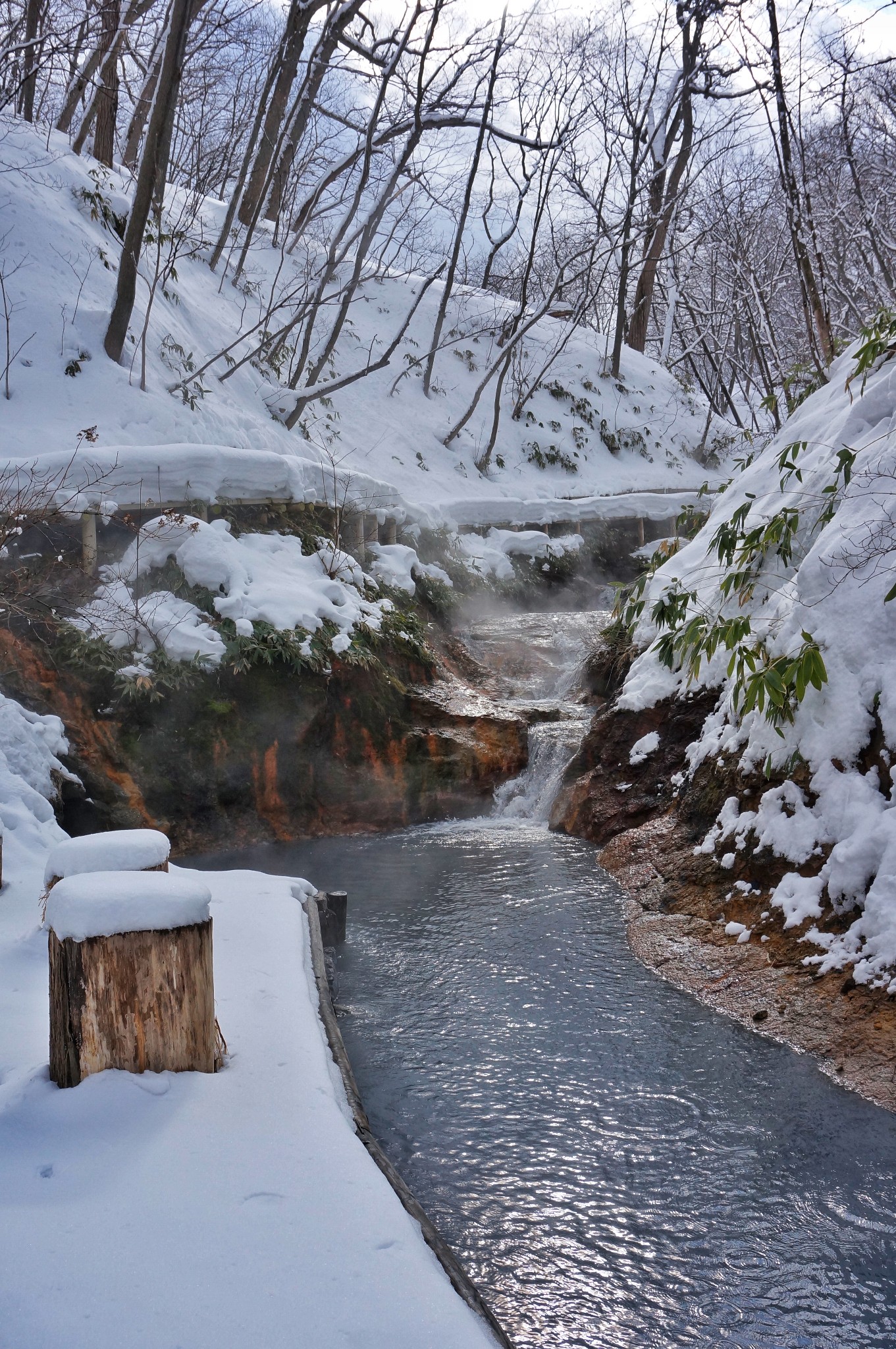 北海道自助遊攻略