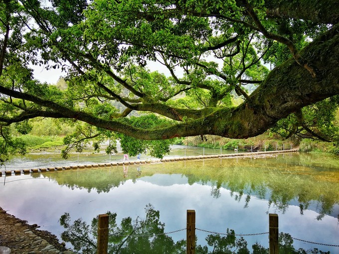 善于发现身边的美丽