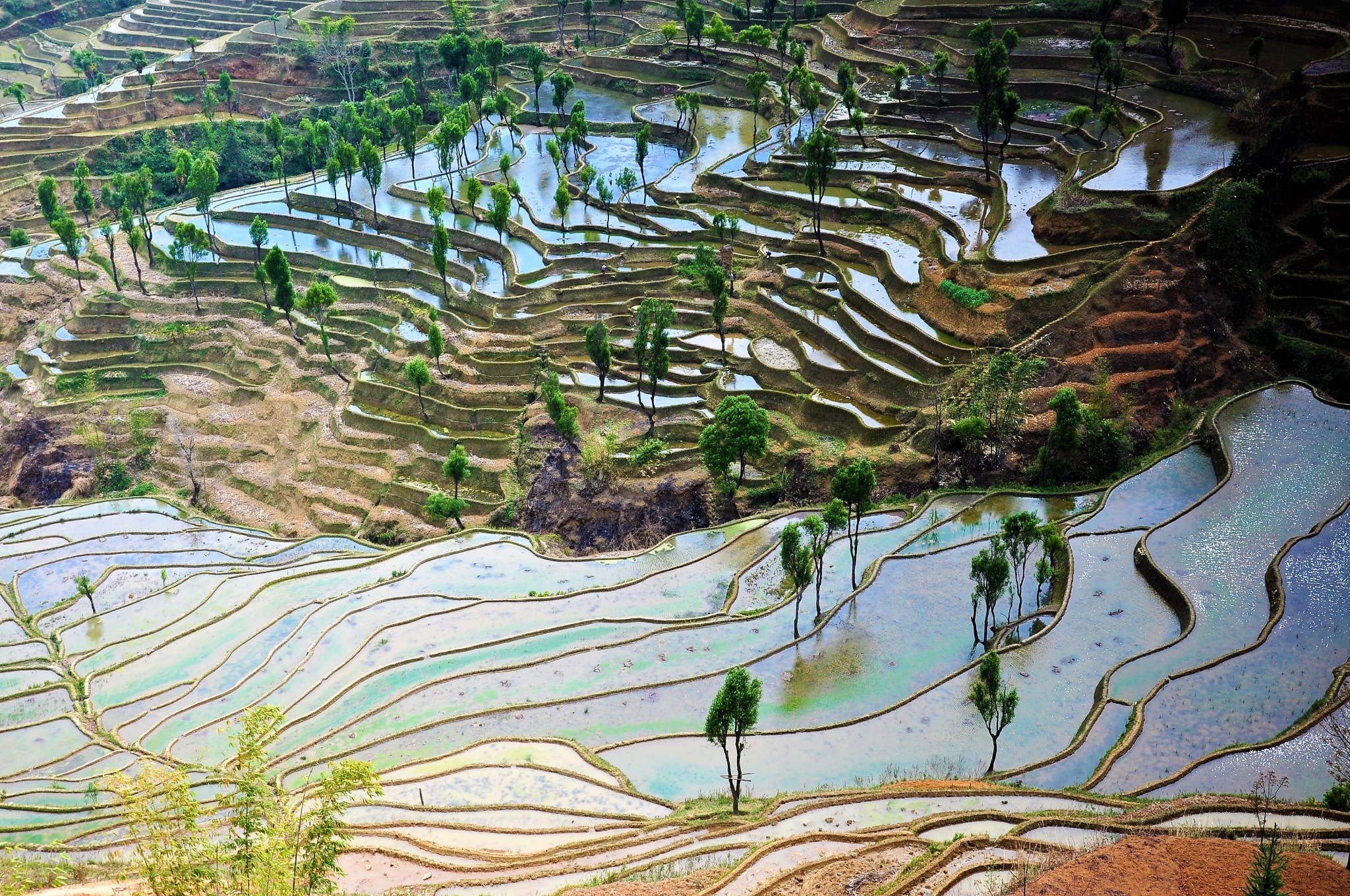 不输元阳梯田更加纯朴原生态的红河梯田