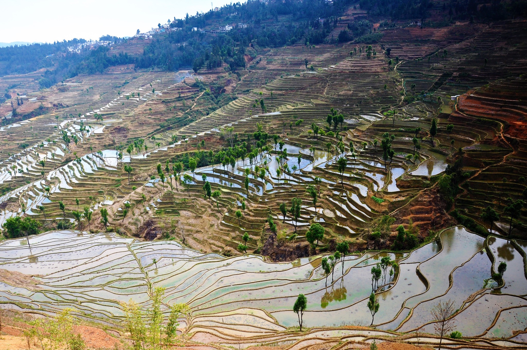 不输元阳梯田更加纯朴原生态的红河梯田
