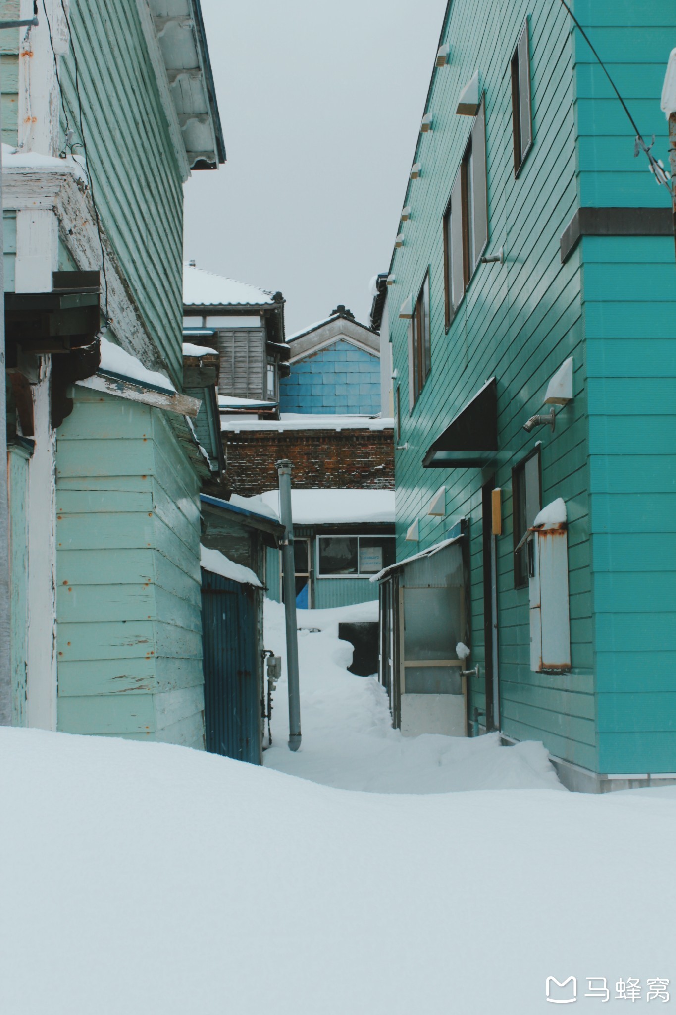 北海道自助遊攻略