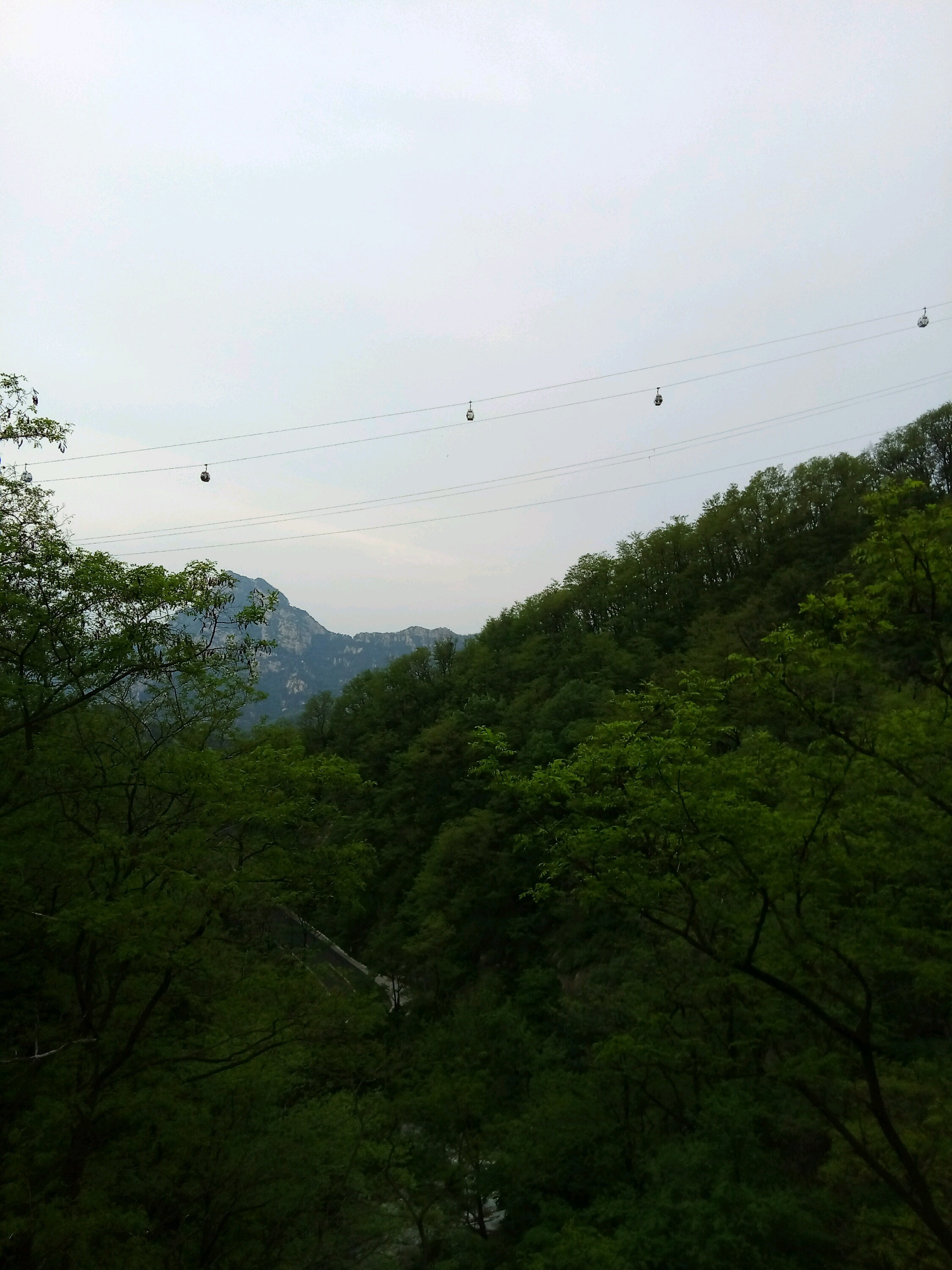 中天门饭店