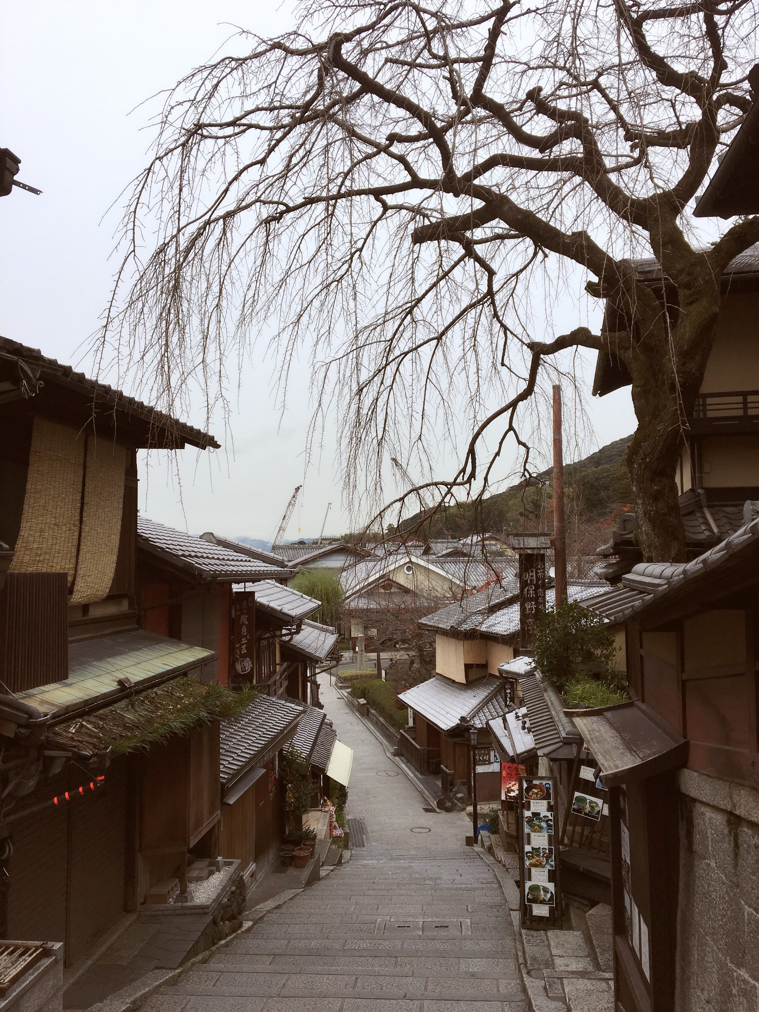 最美的季節遇見你,關西の紅葉物語(避開人流圖文攻略),關西旅遊攻略 -