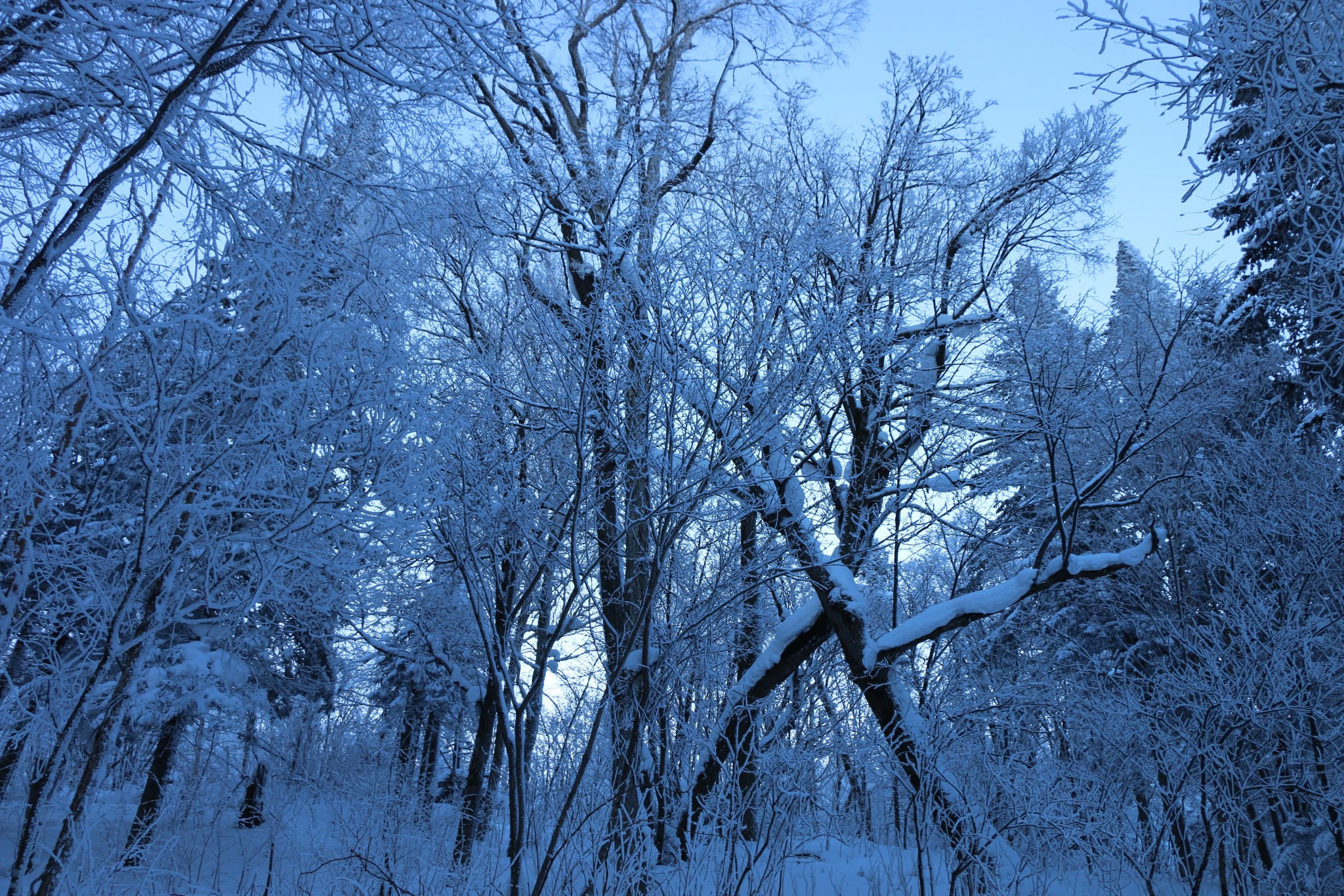 雪鄉自助遊攻略